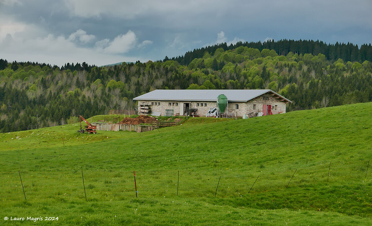 La fattoria a Valmenera
