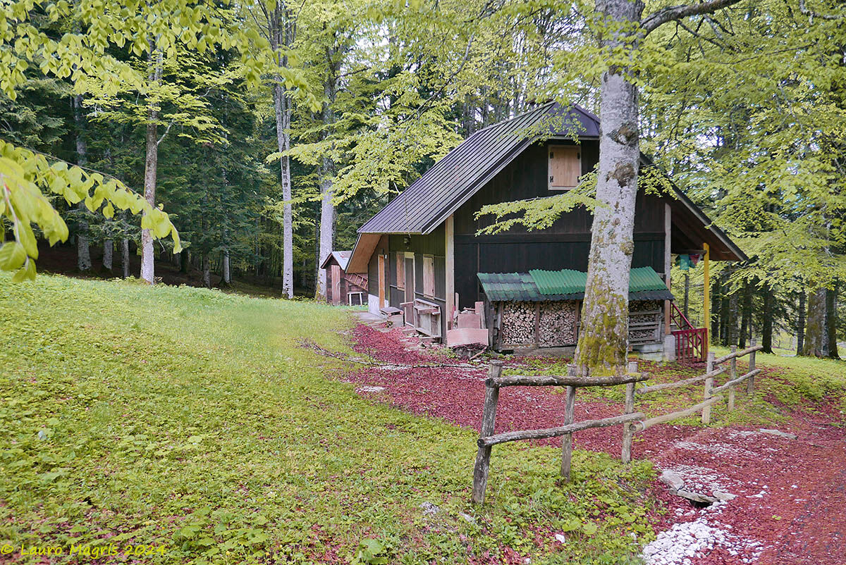 Gloomy day from Bolp