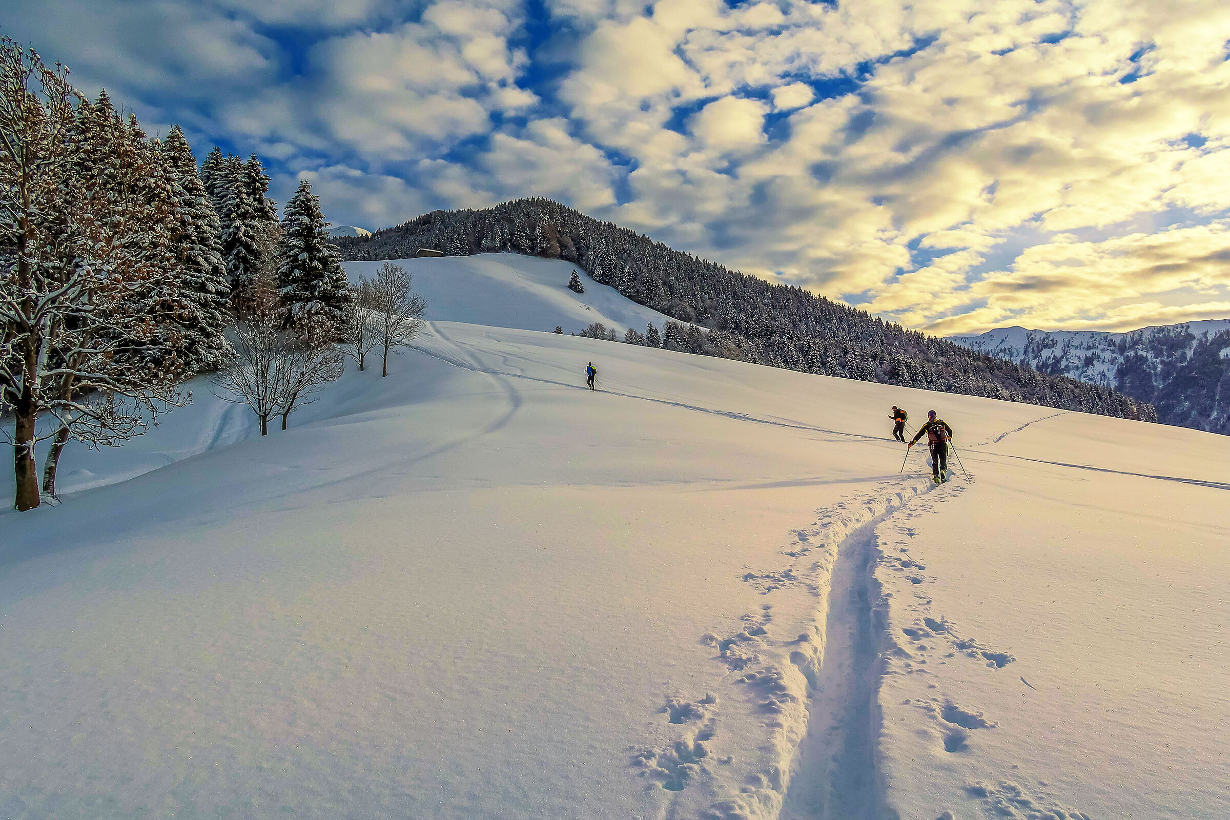 Scialpinismo al colle palazzo (bg)