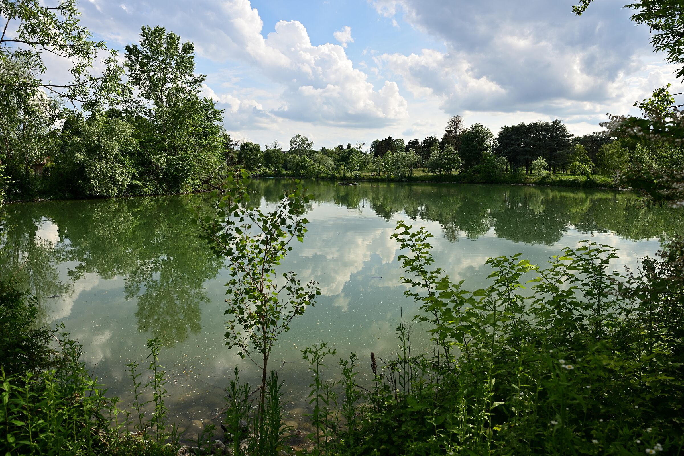 Parco della Pellerina Torino
