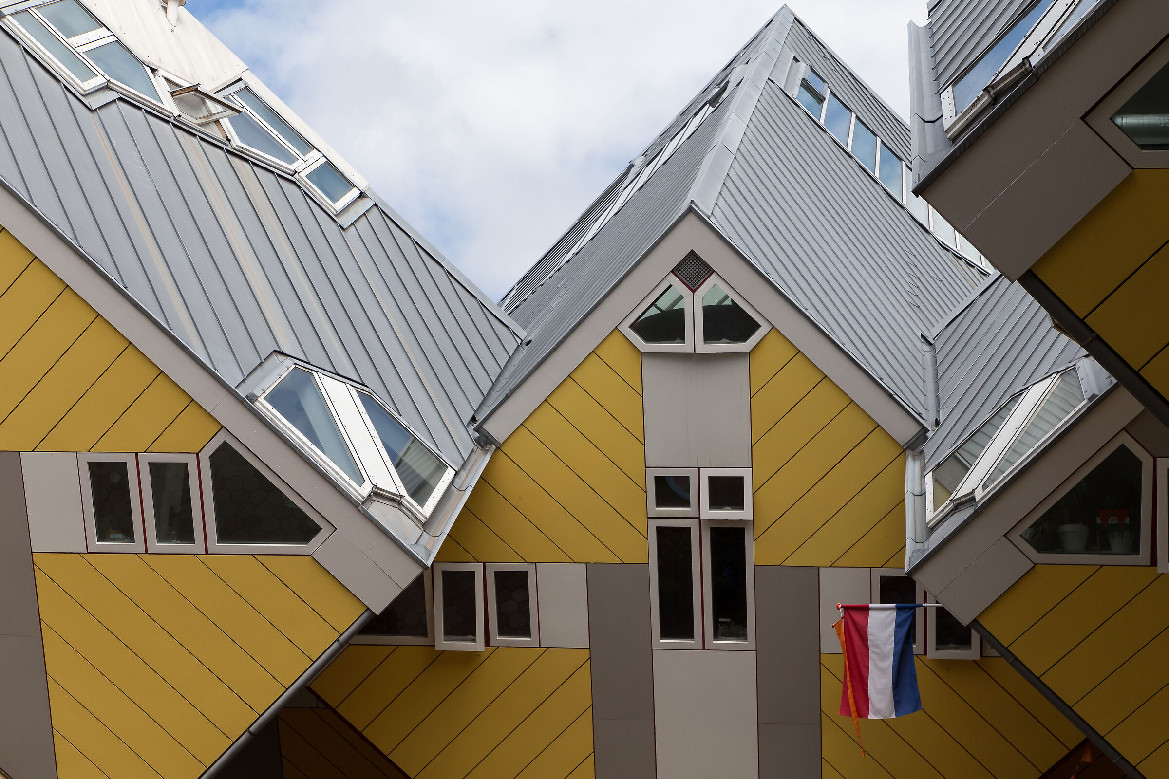 rotterdam case cubiche