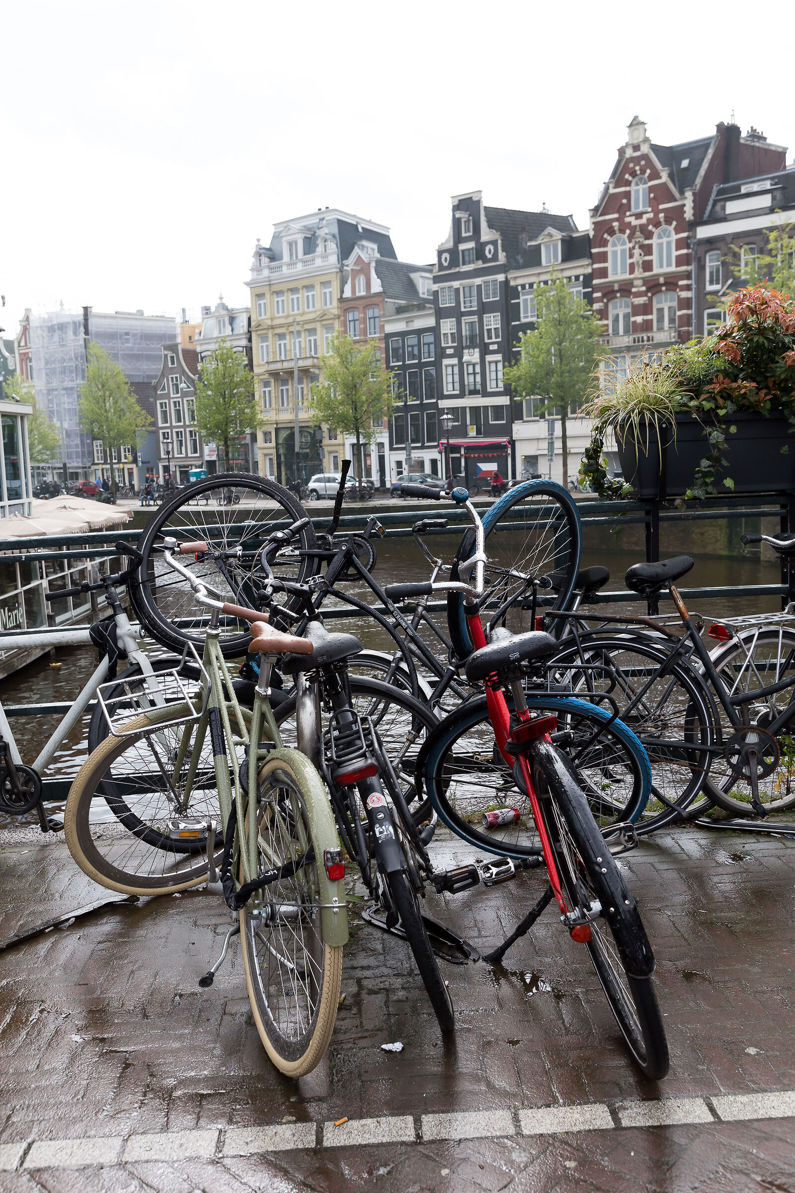 amsterdam case canali e biciclette
