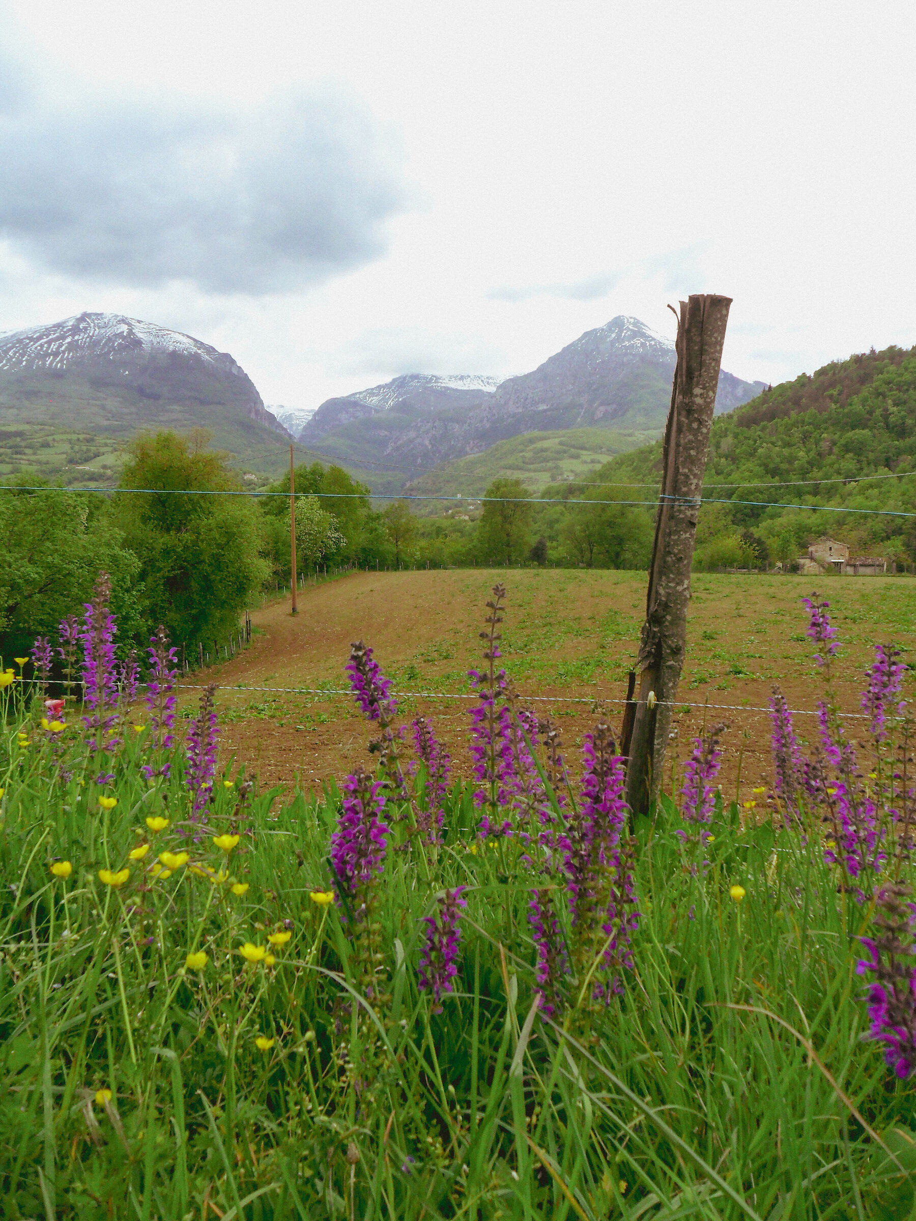 Sibillini Mountains in spring Marche