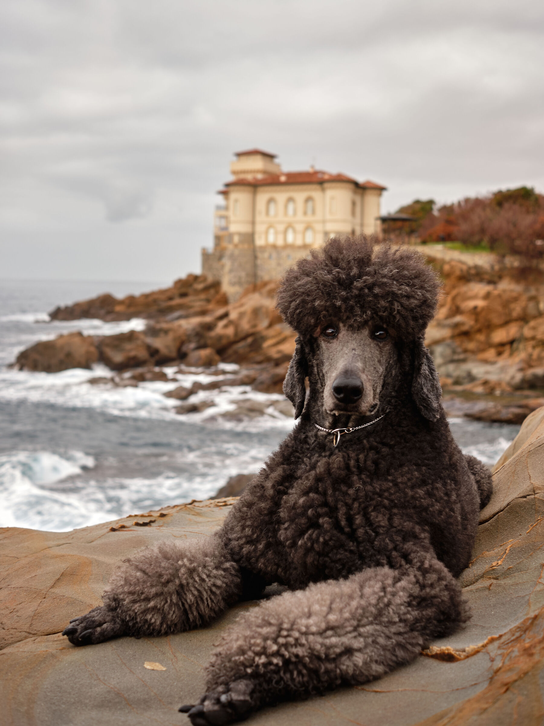 Sunrise at the Castello del Boccale