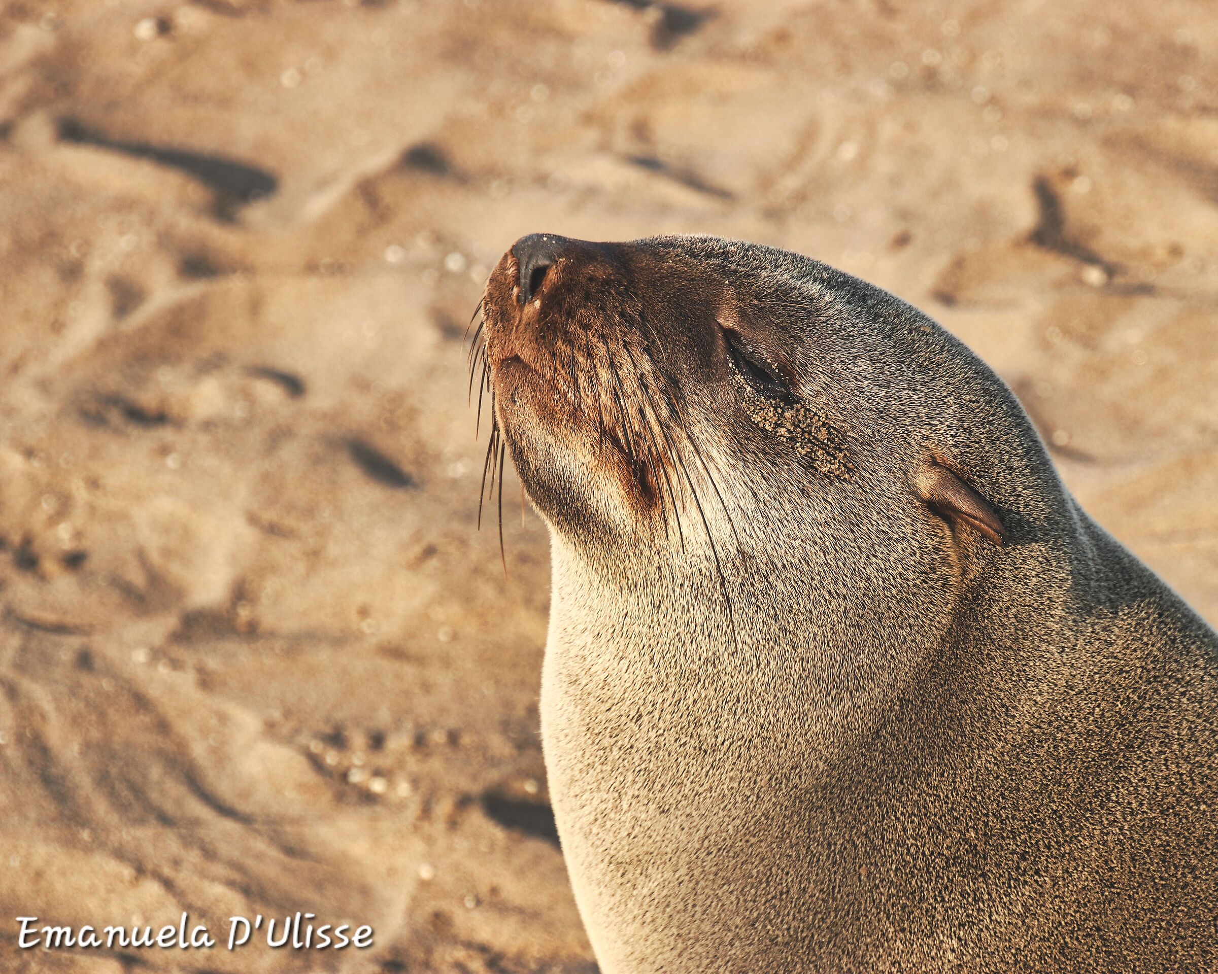 Etosha National Park_Namibia