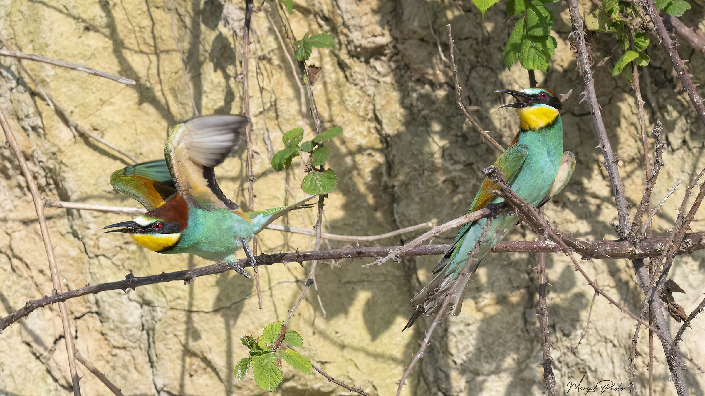 ...e vedi di non fare tardi... che sto sulle spine!