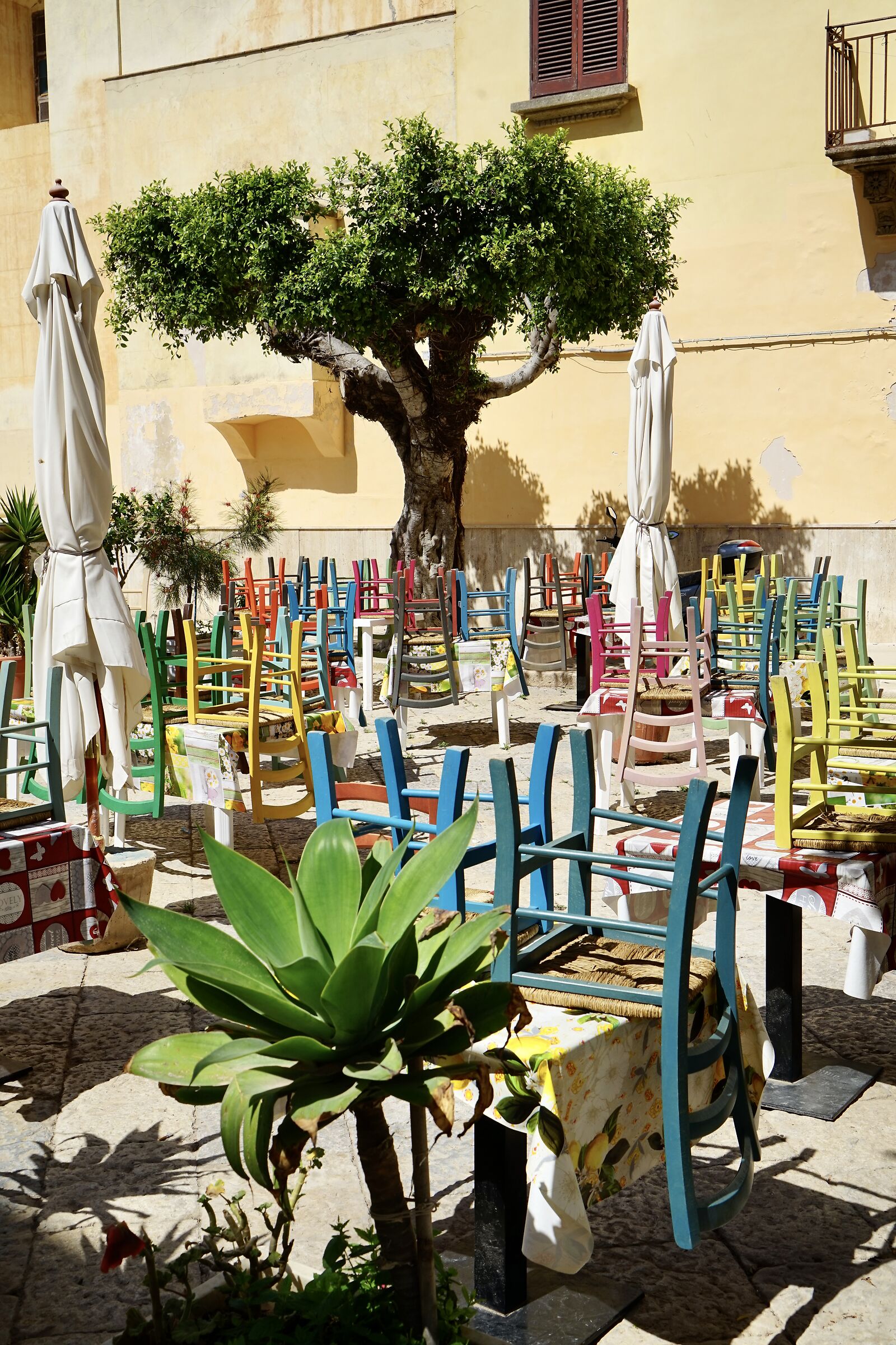 Polychromies from Favignano