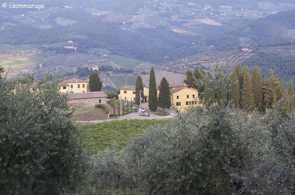 Az. agricola Panzanello