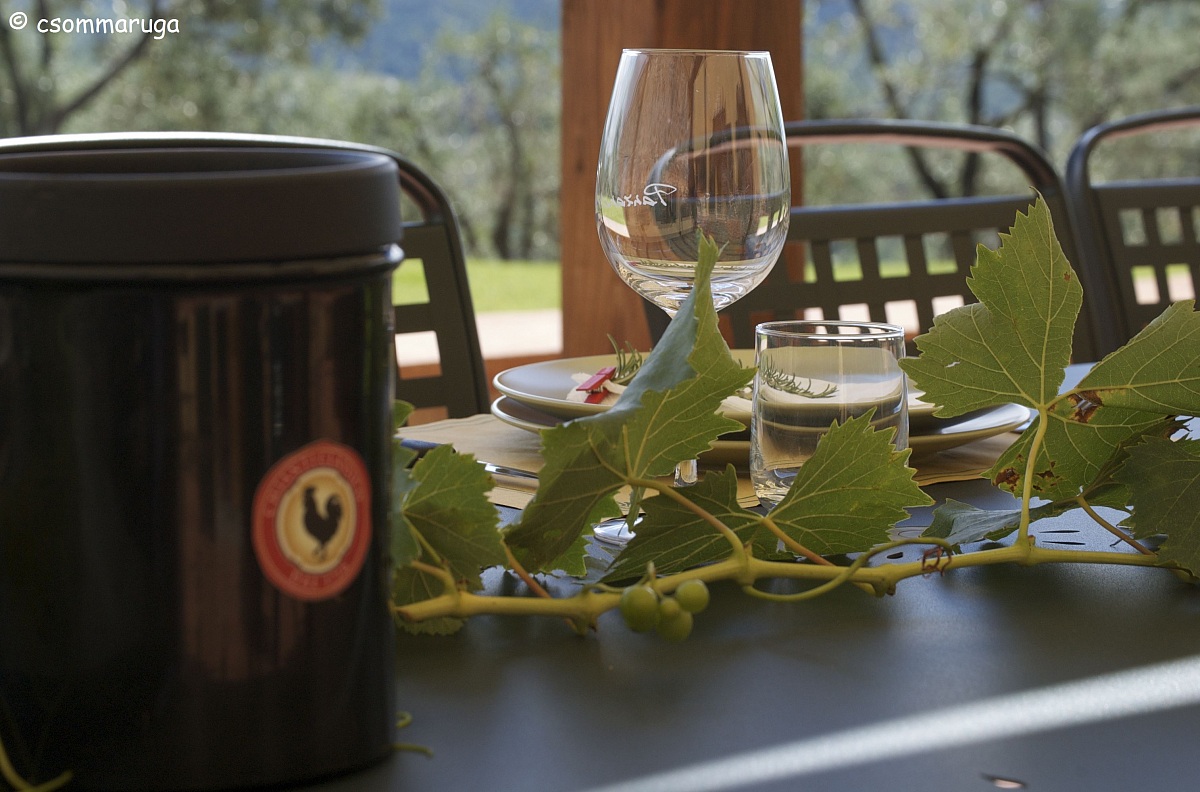 Az. agricola Panzanello