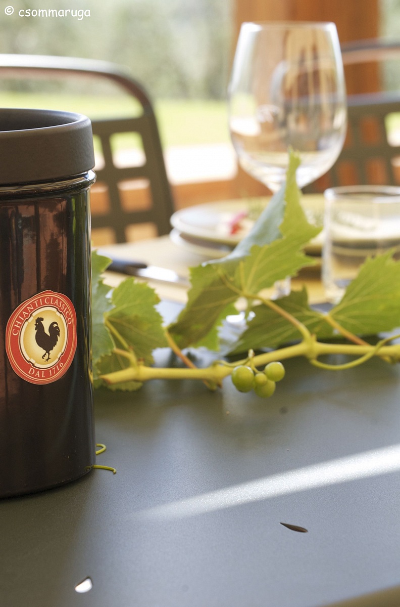 Az. agricola Panzanello