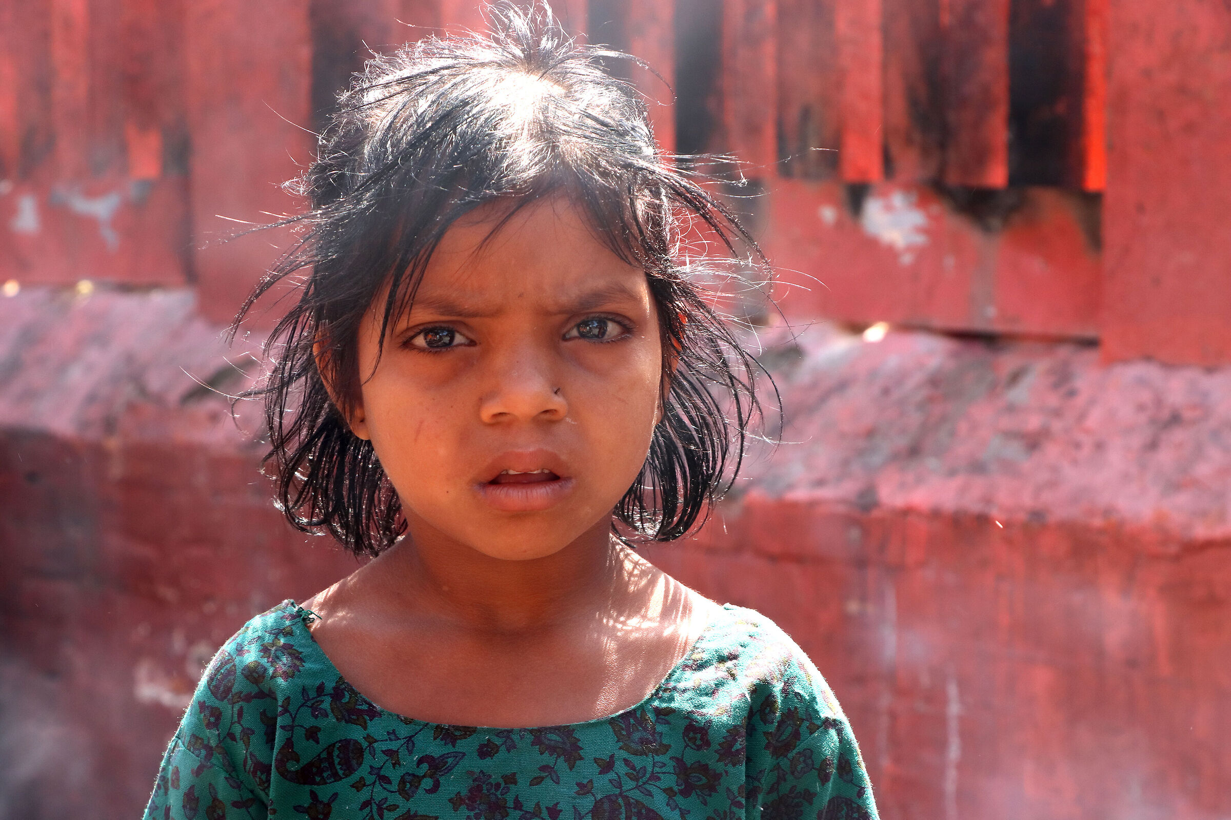 An enraptured little girl