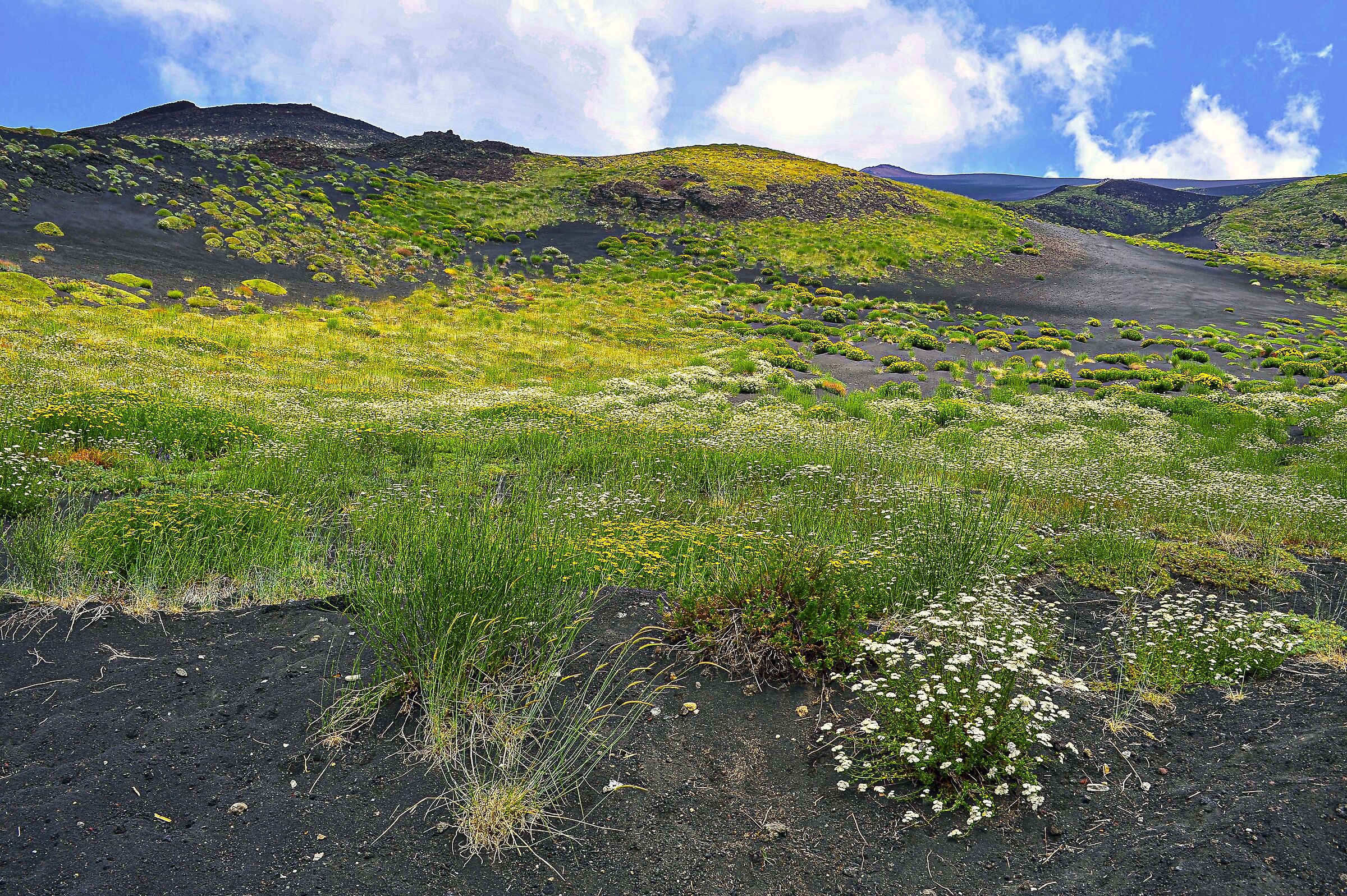 parco dell'Etna