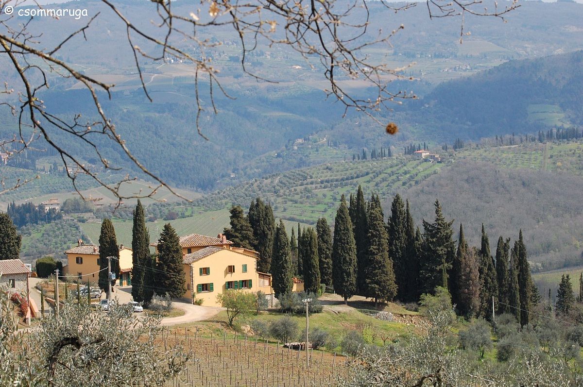 Az. agricola Panzanello