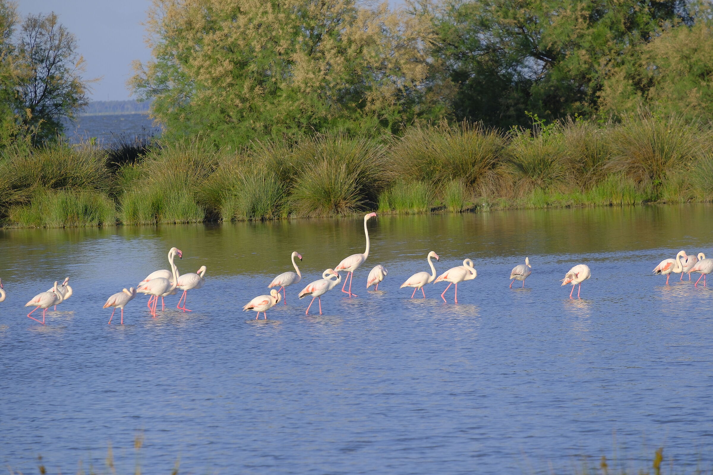 Walking around the lagoon