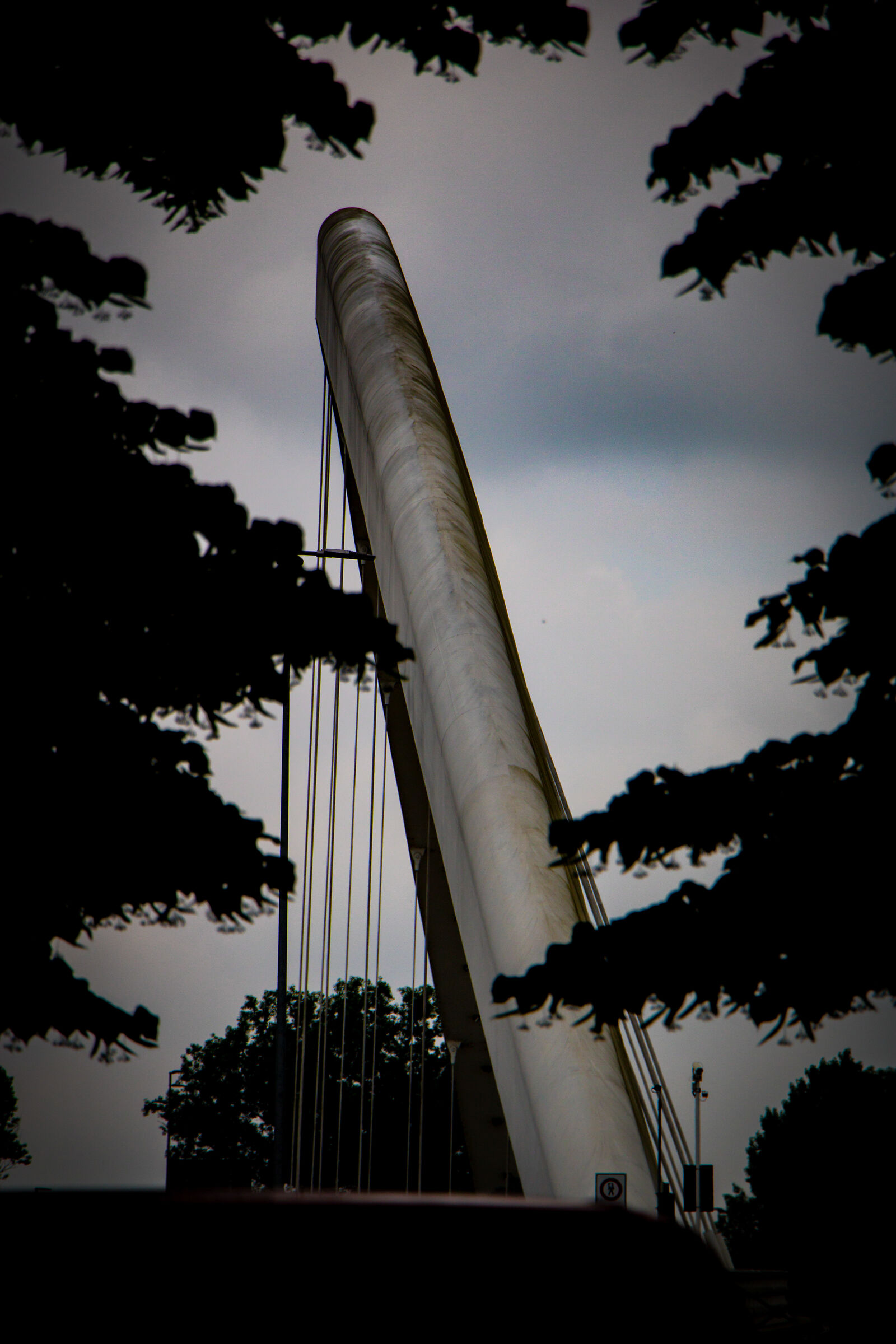 Meyer Bridge, Alexandria