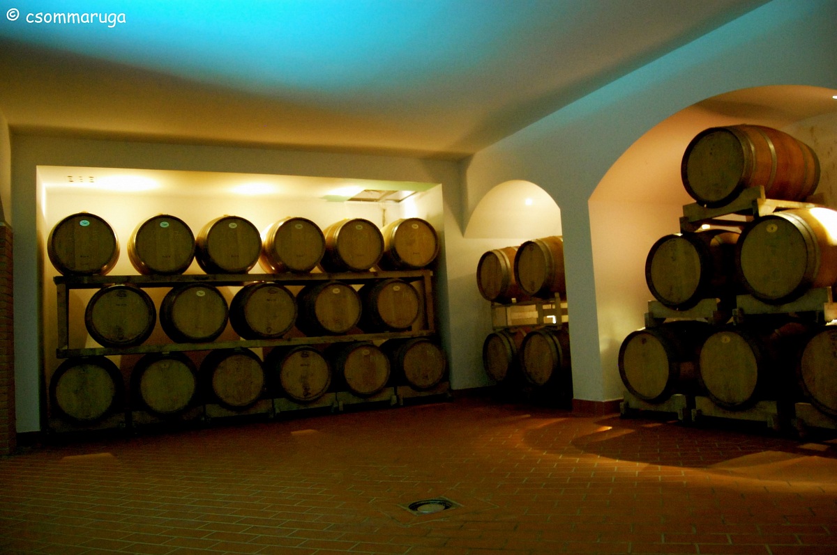 Az. agricola Panzanello