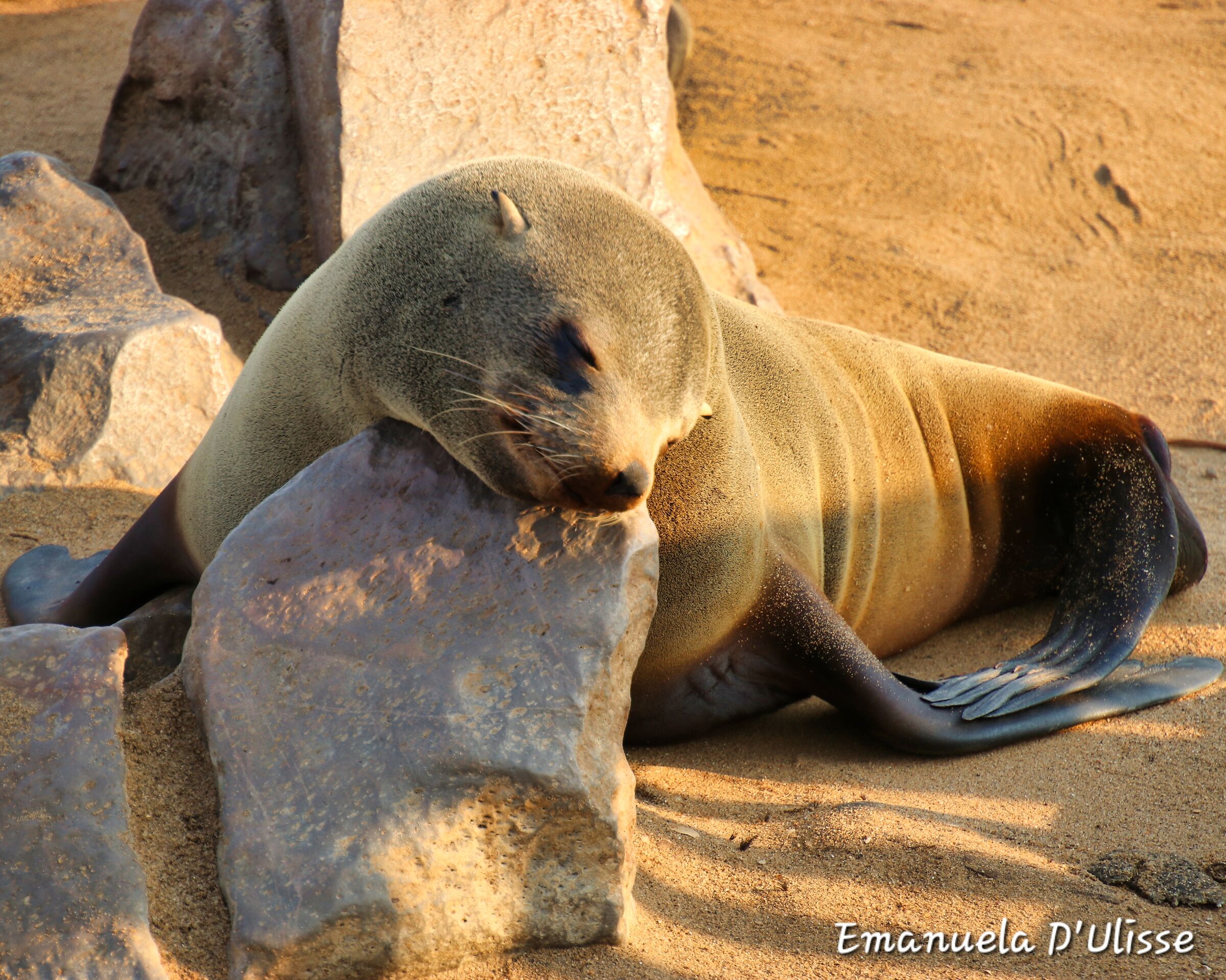 Cape Cross_Namibia