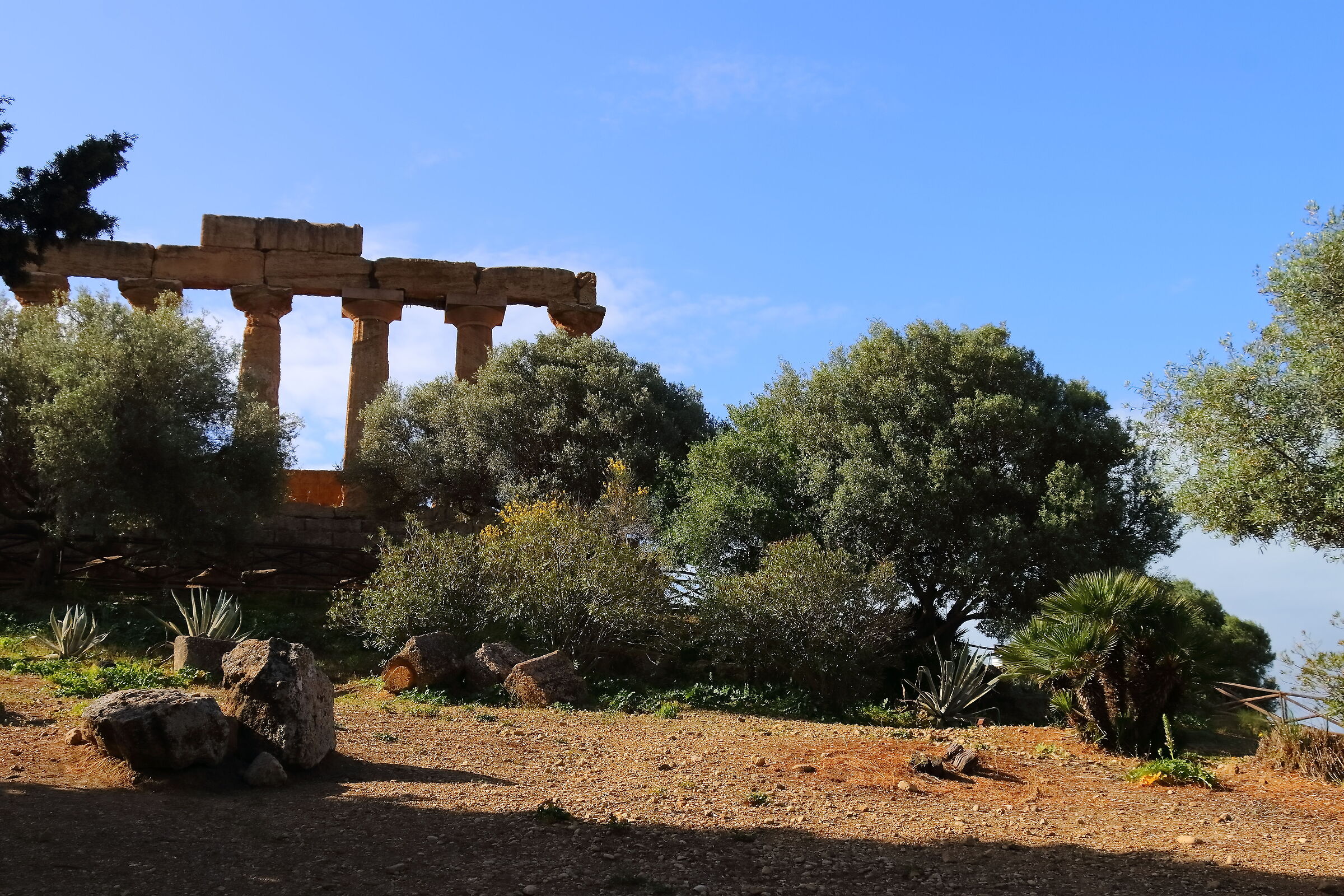 Valley of the Temples 18-04-2024 - 0512
