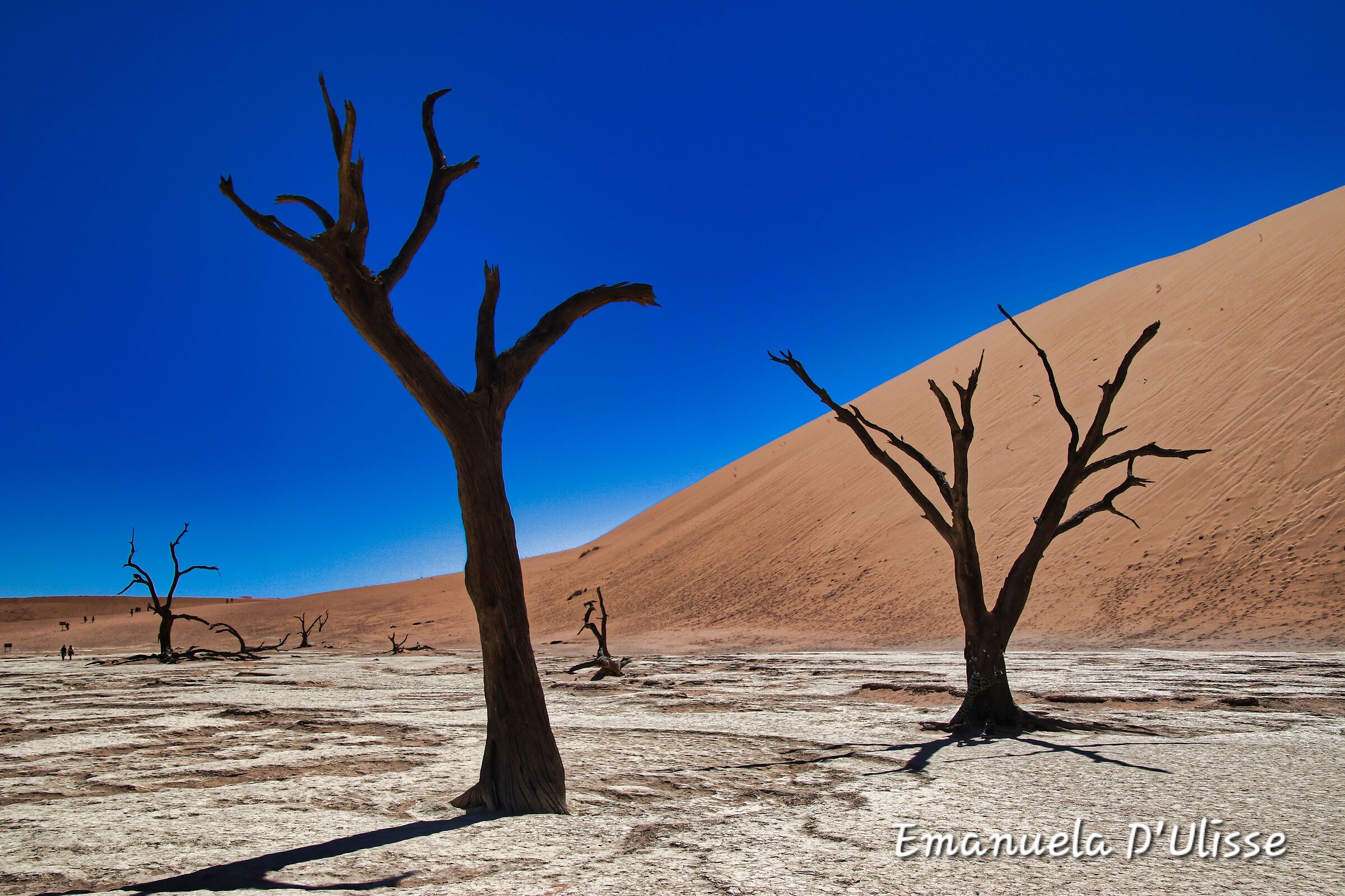 Namib Desert