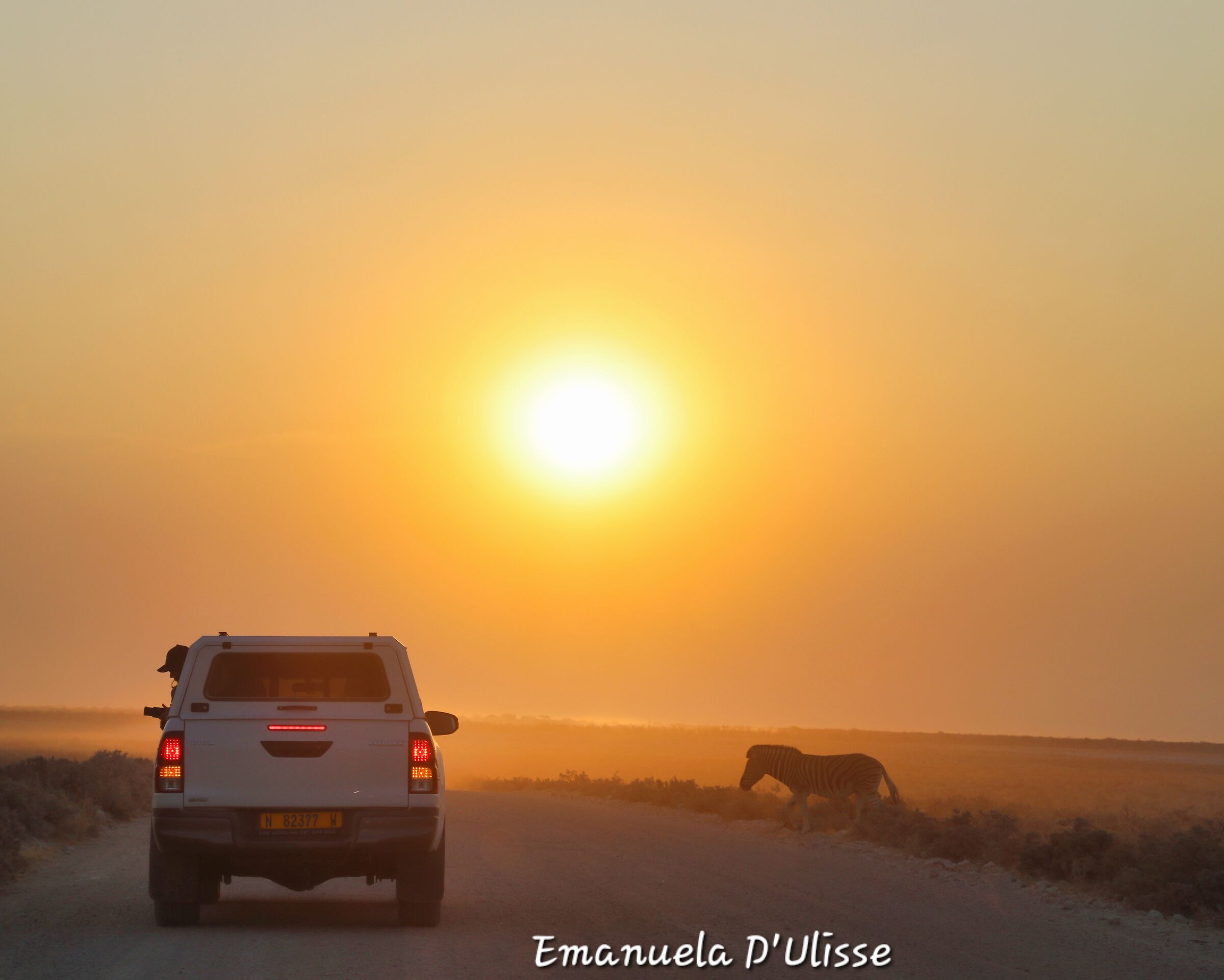 Etosha National Park_Namibia