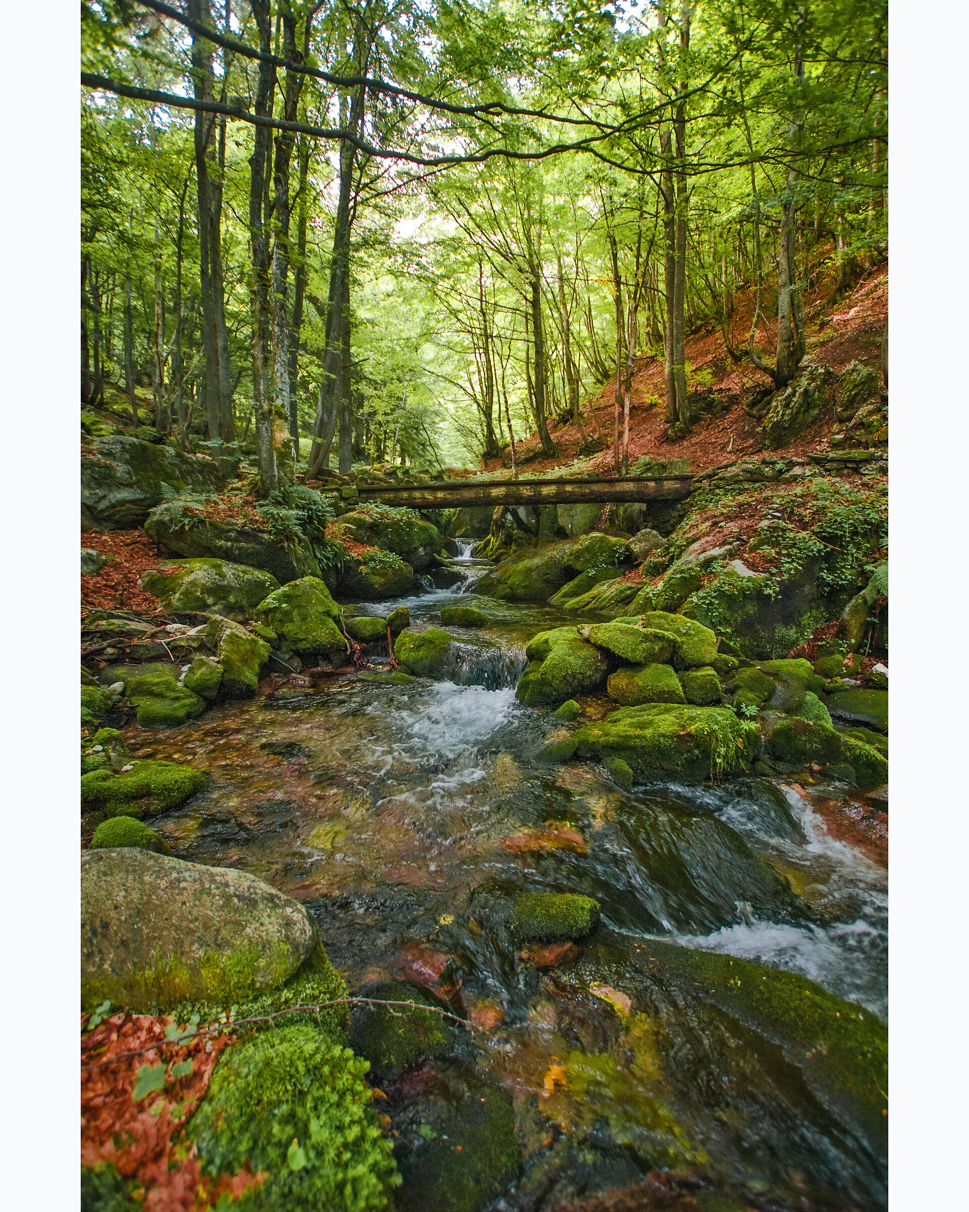 Route to the Garelli Hut