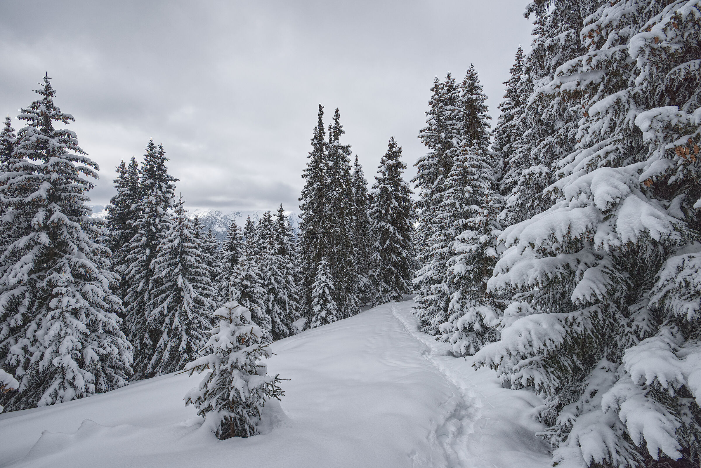 Aosta Valley February 2017