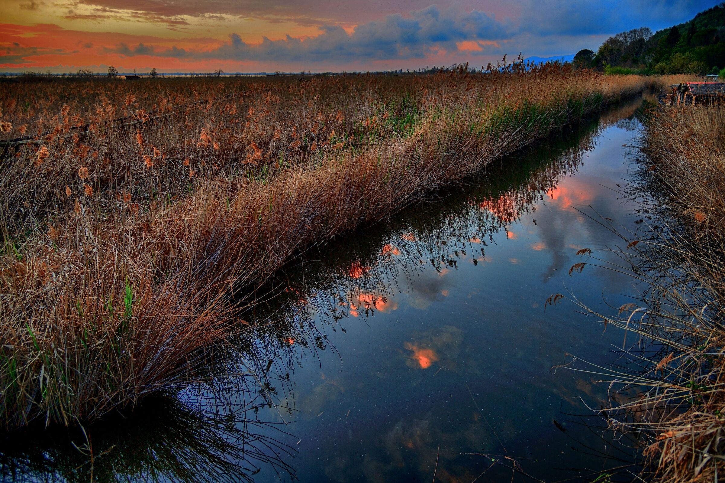 Sunset in the marshes
