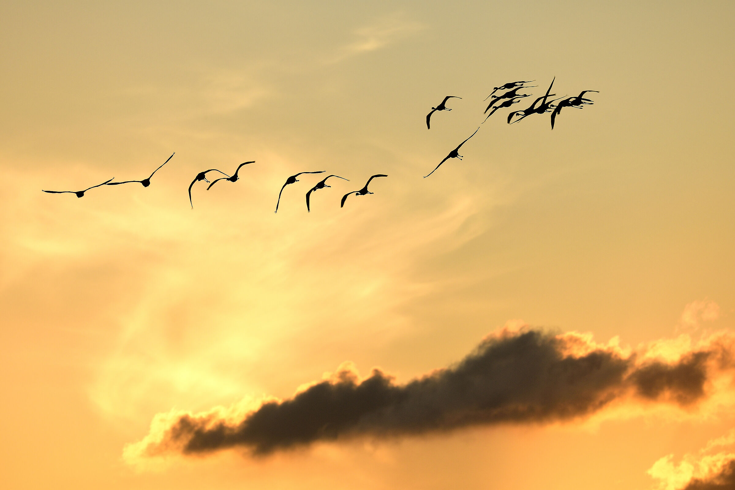 Straziante meravigliosa bellezza del creato