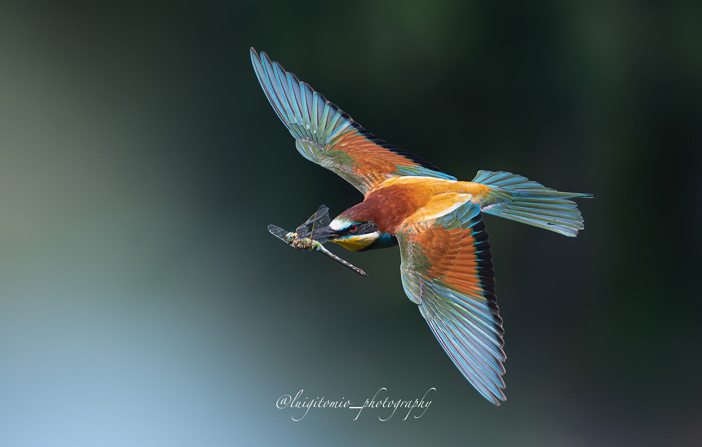 The last flight!