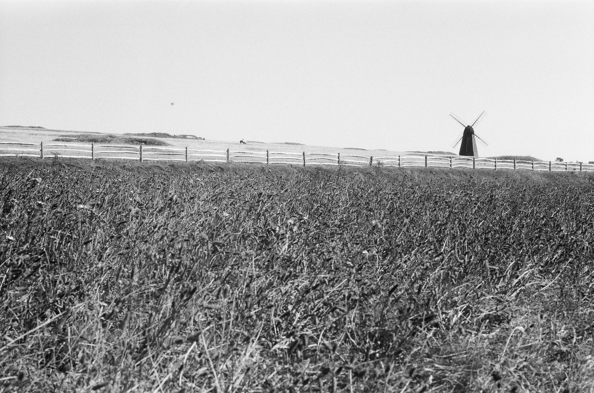 Mill
