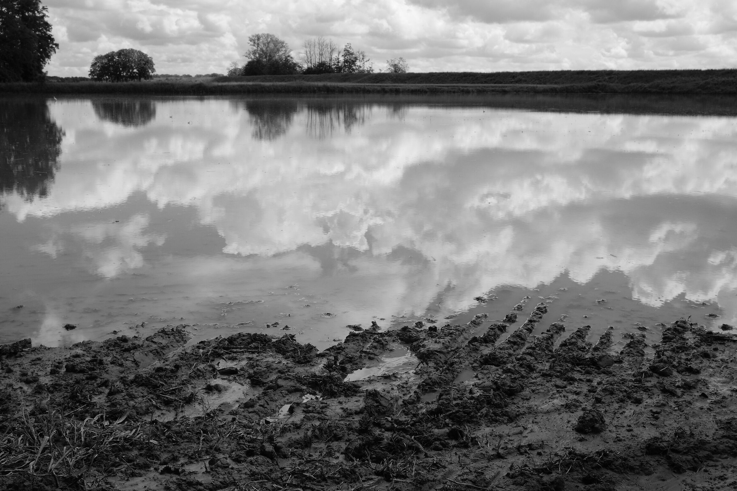 The embankment and the paddy field