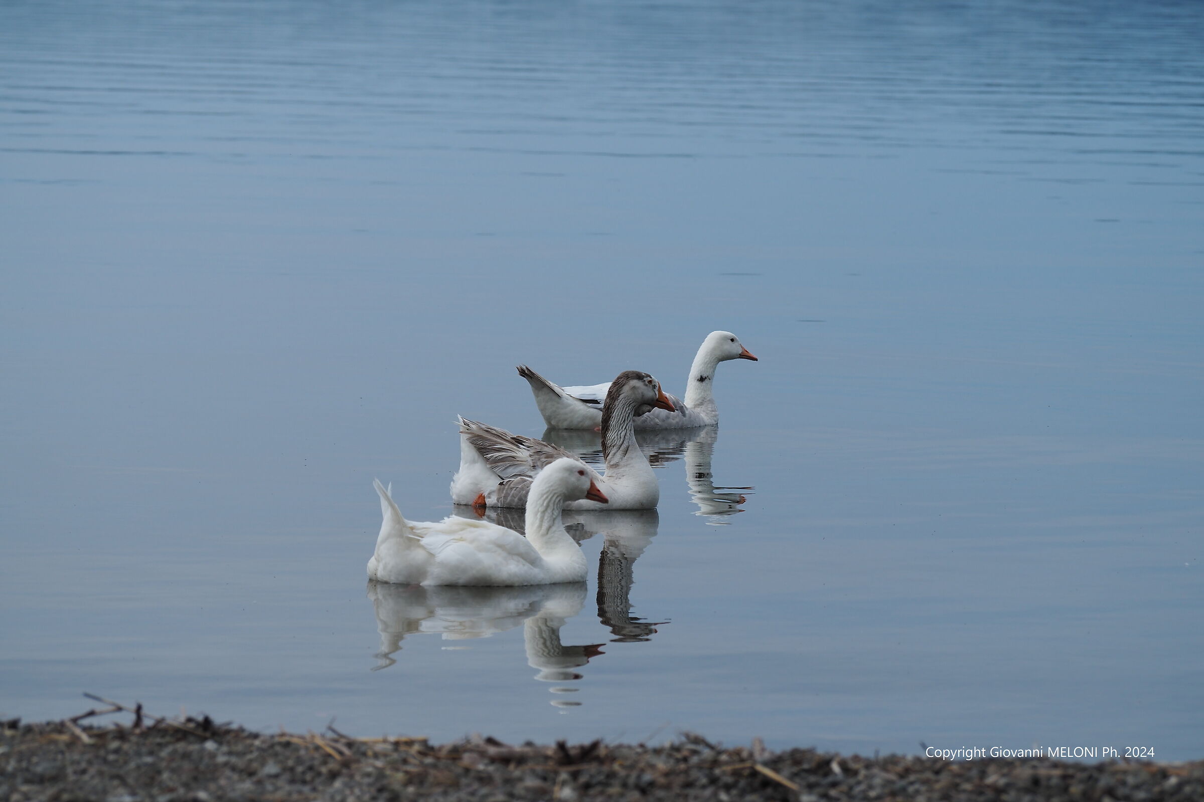 Il trio...