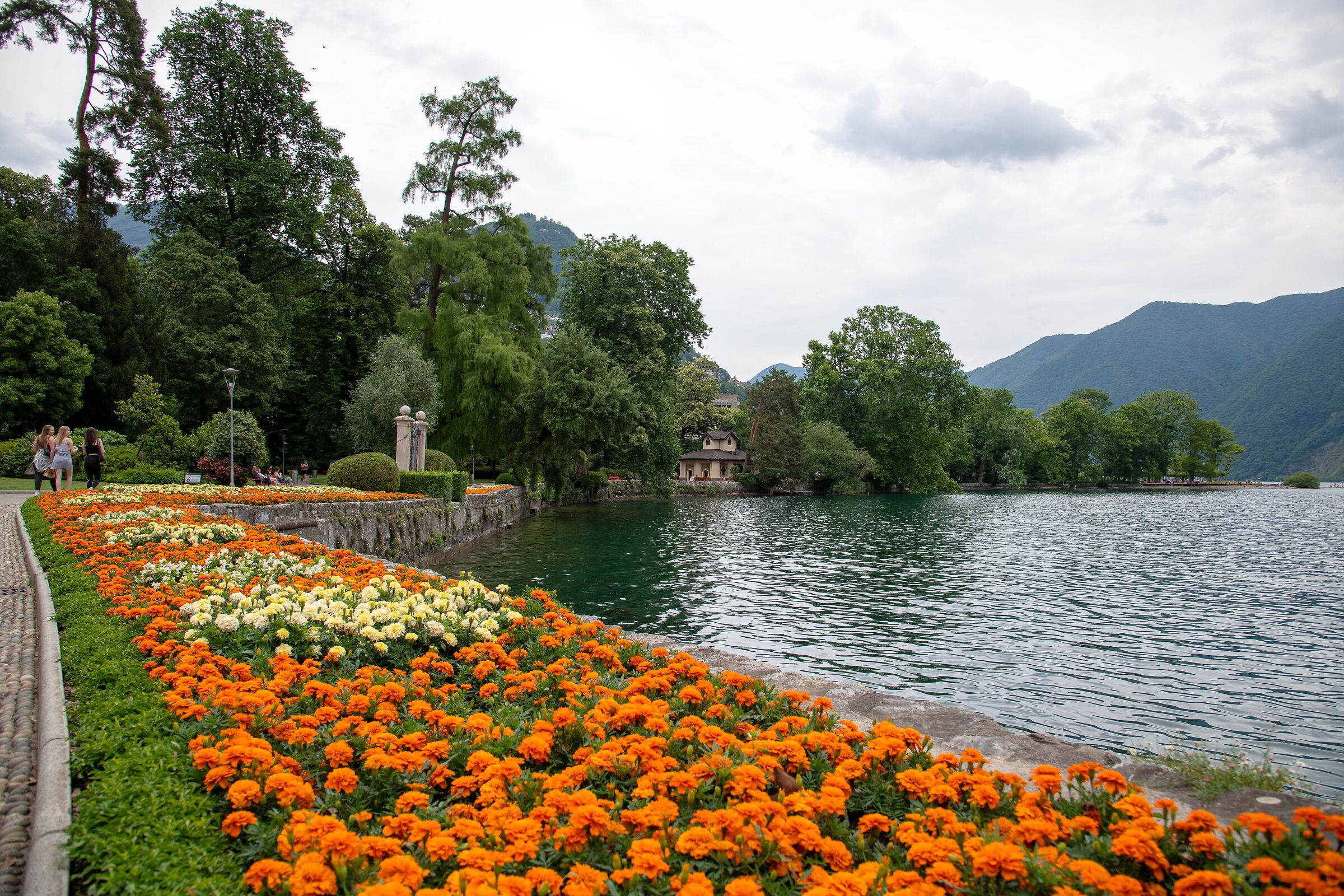 Shore of Lake Lugano in bloom
