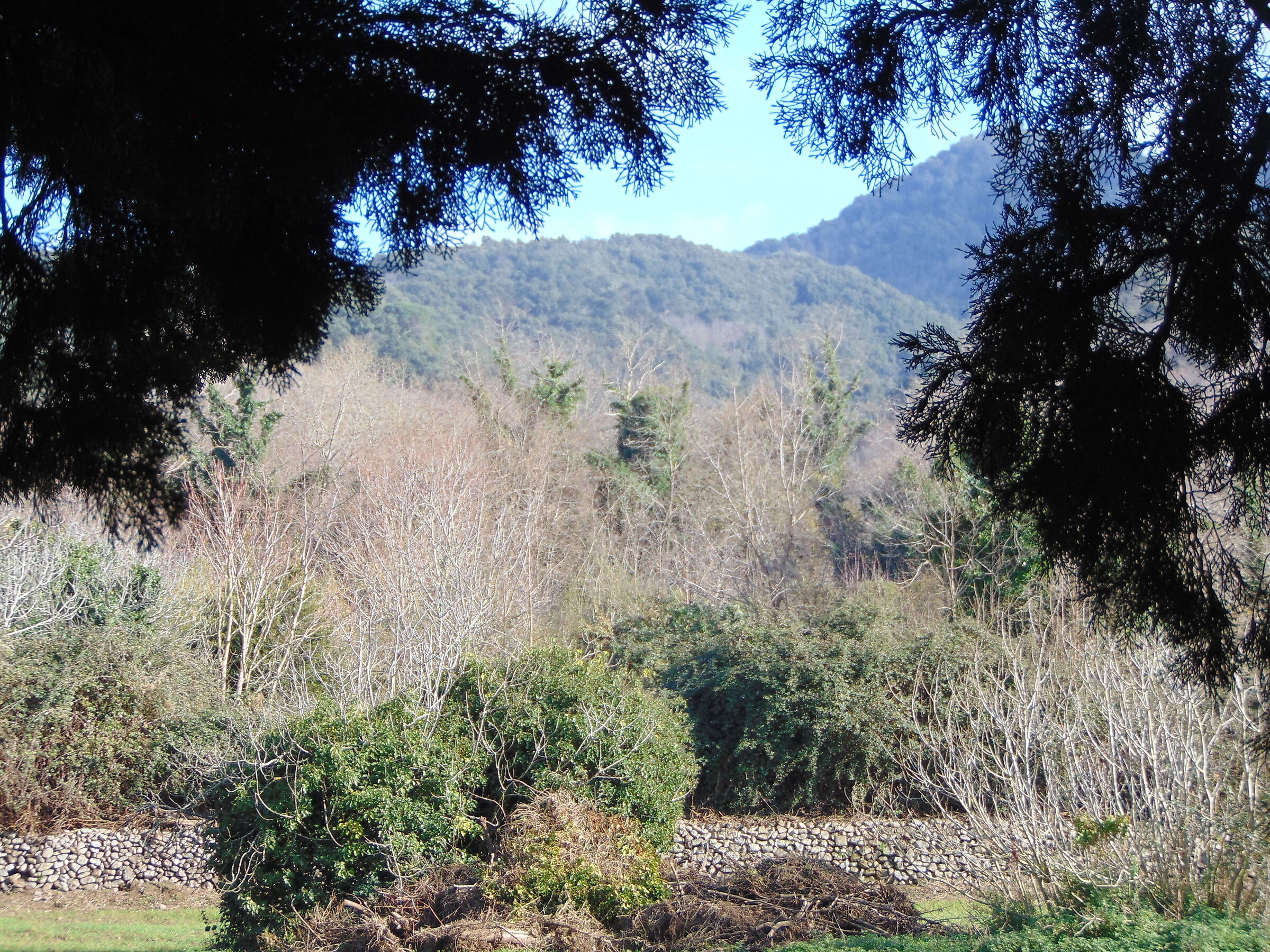 Glimpse of the mountain