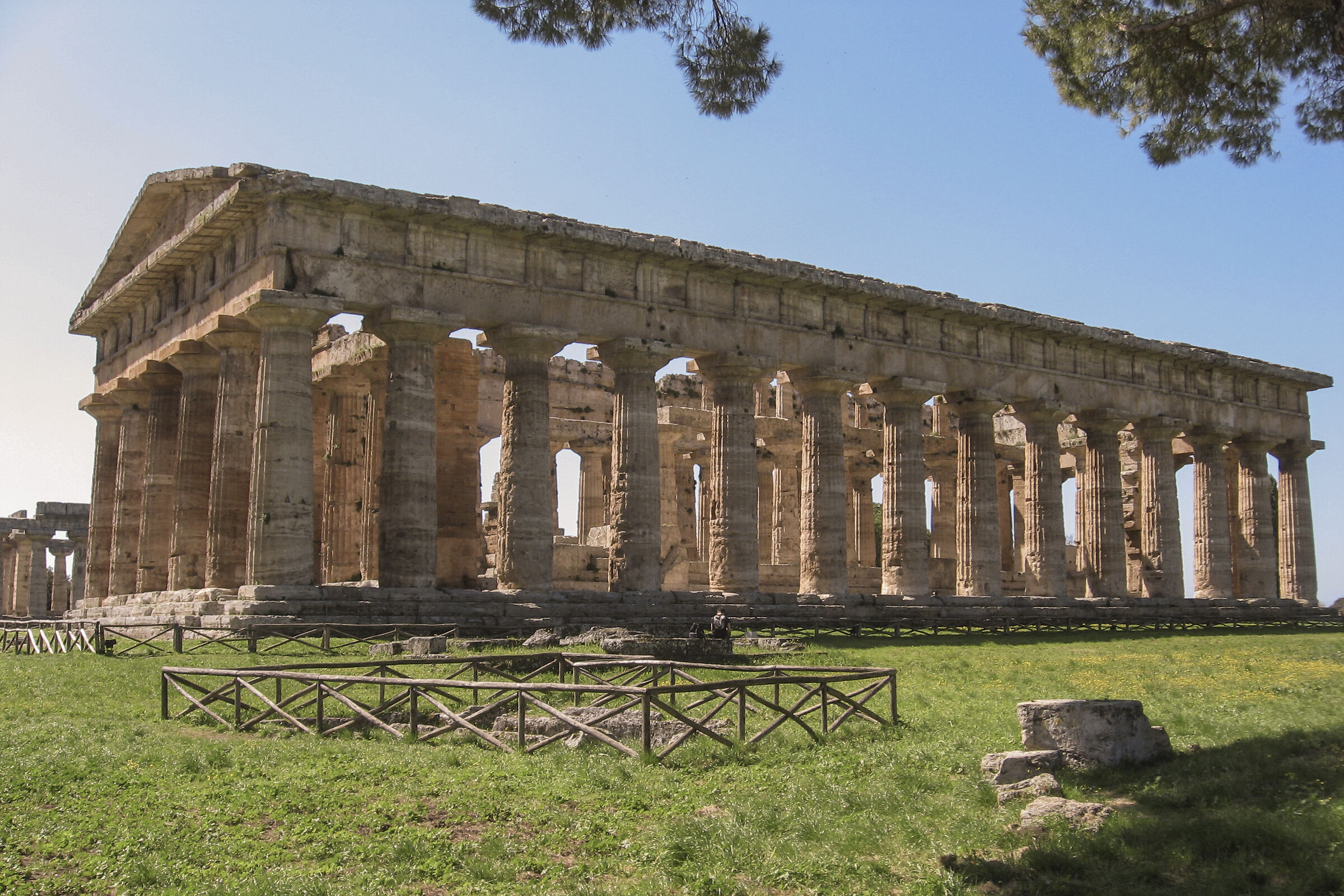 Segesta