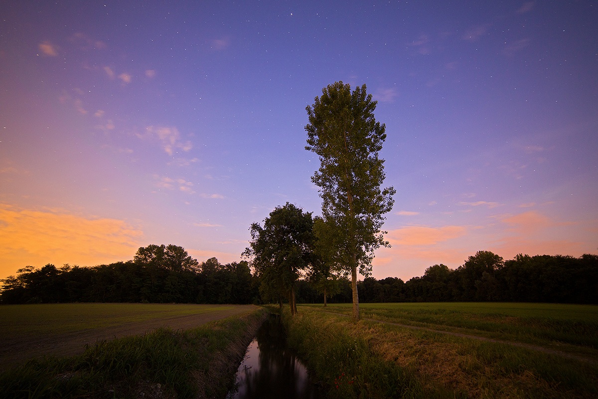 Waiting for the fireflies ...