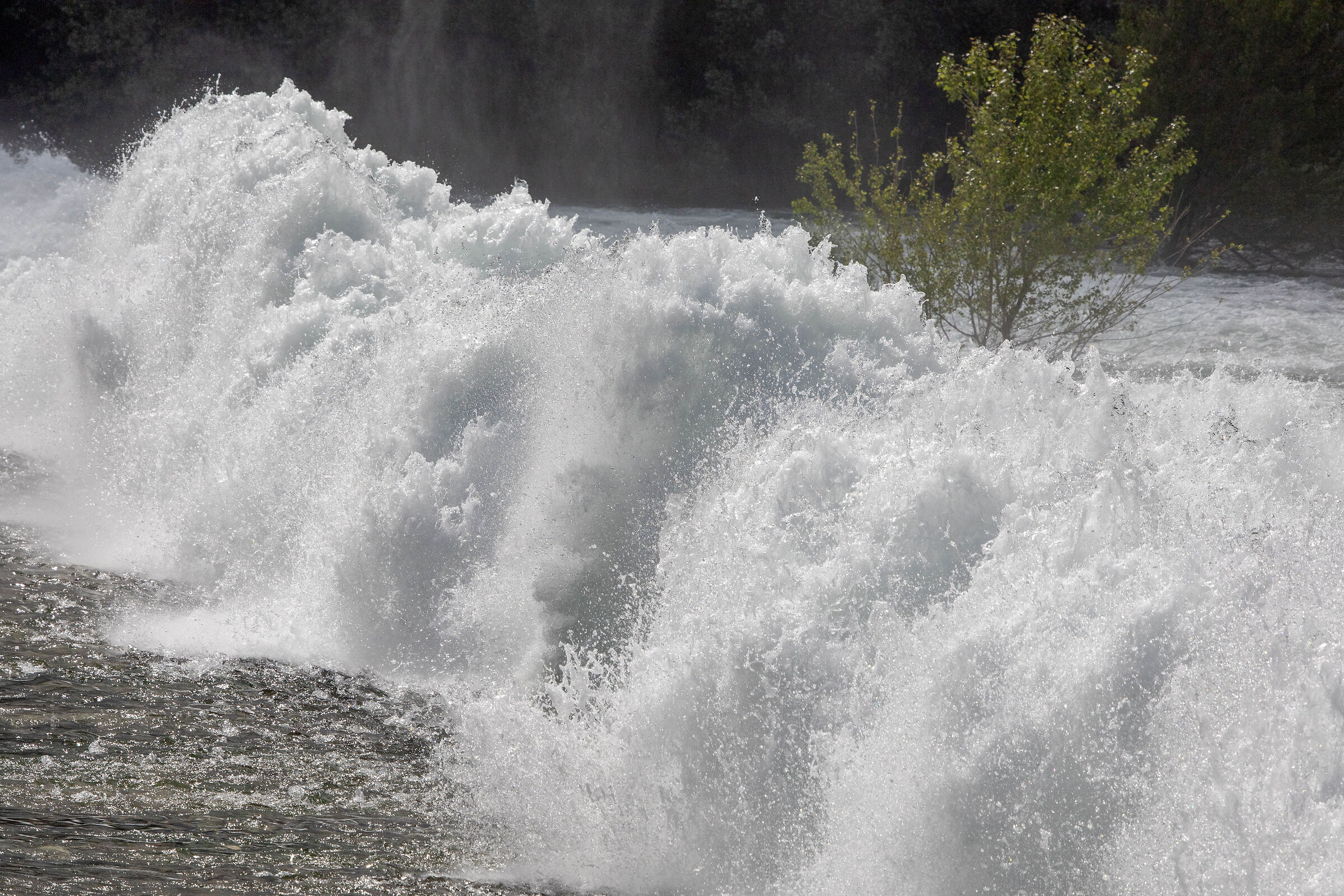 Ticino - Pan Perduto