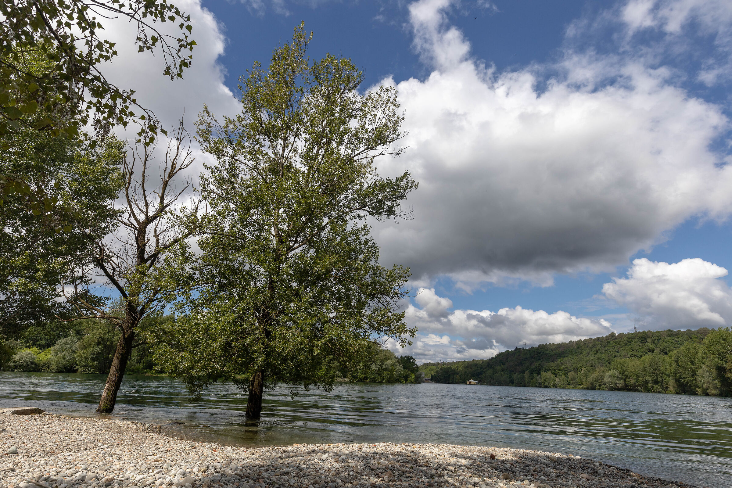 Ticino - Canottieri
