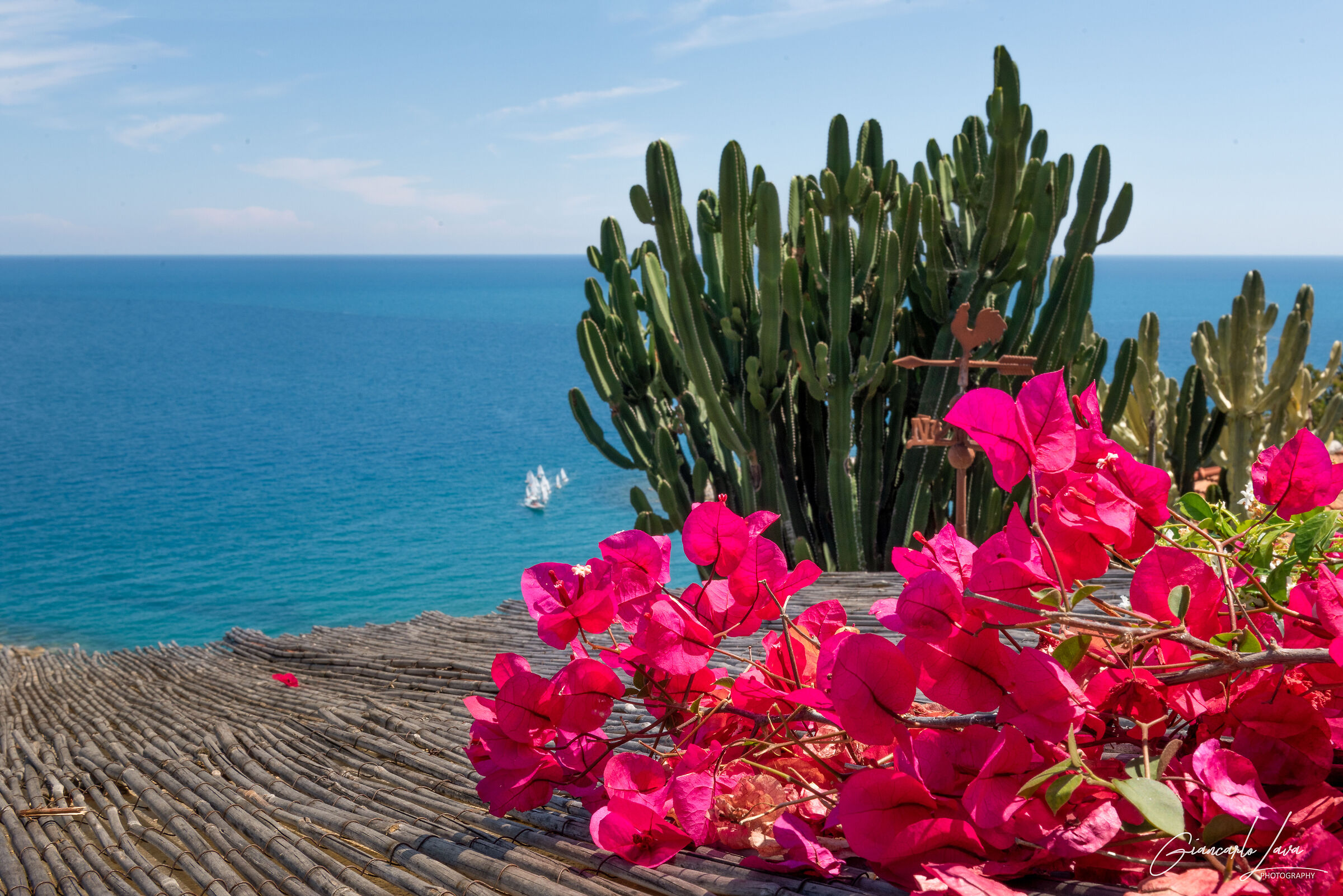 Colors of Liguria ...   Bordighera