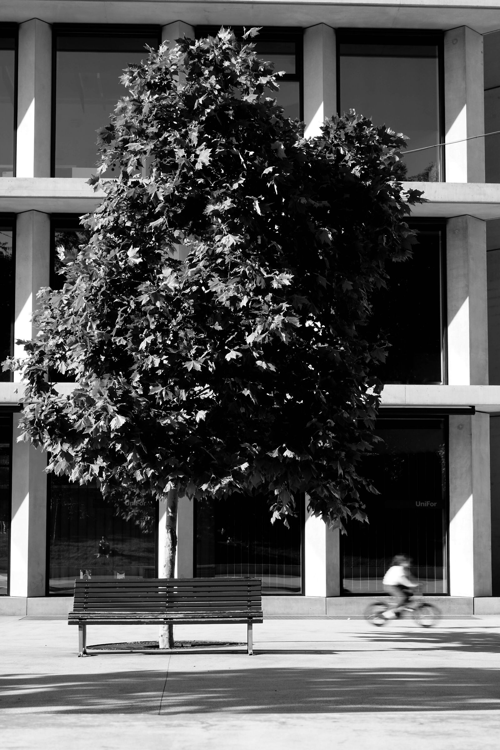 non_mi_fermerete_mai