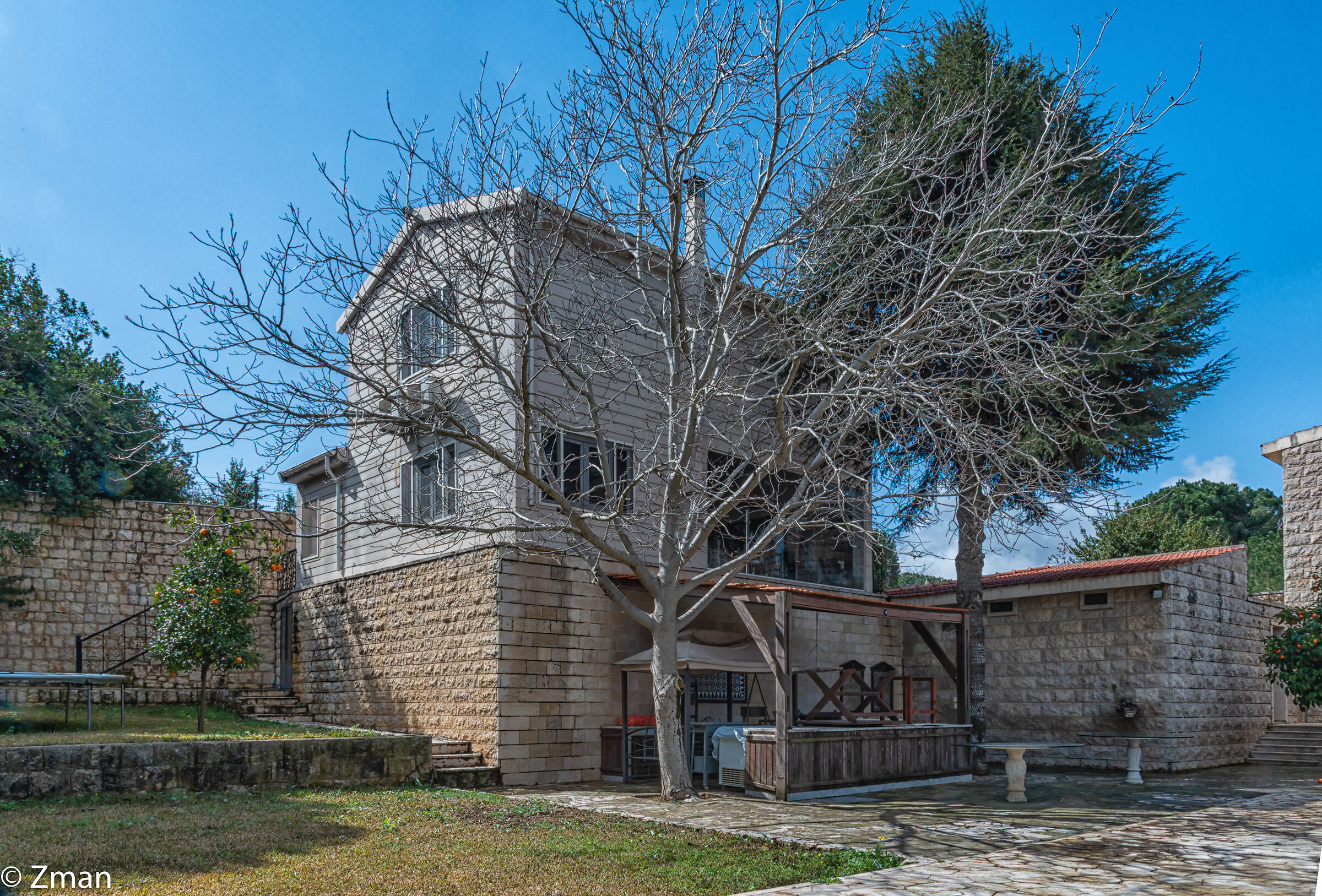 La Palestra e l'Albero di Cedro