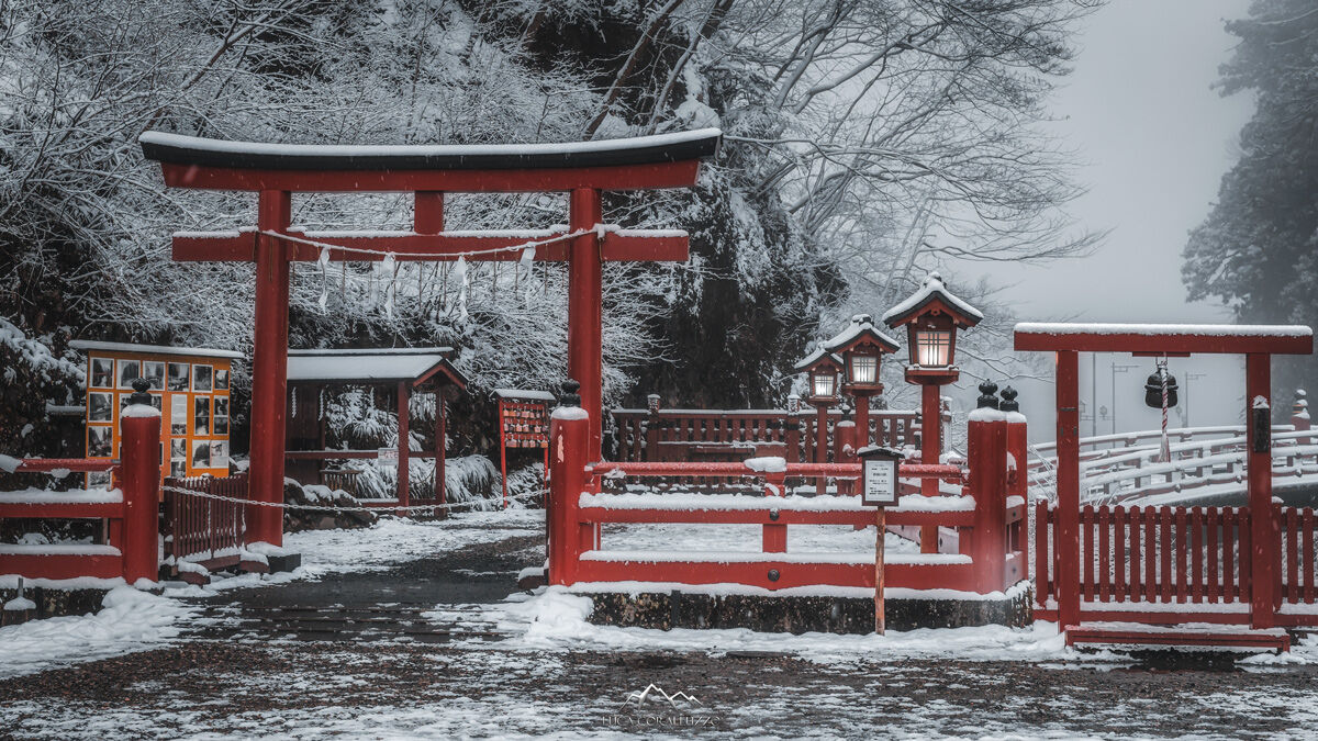 ingresso ponte rosso