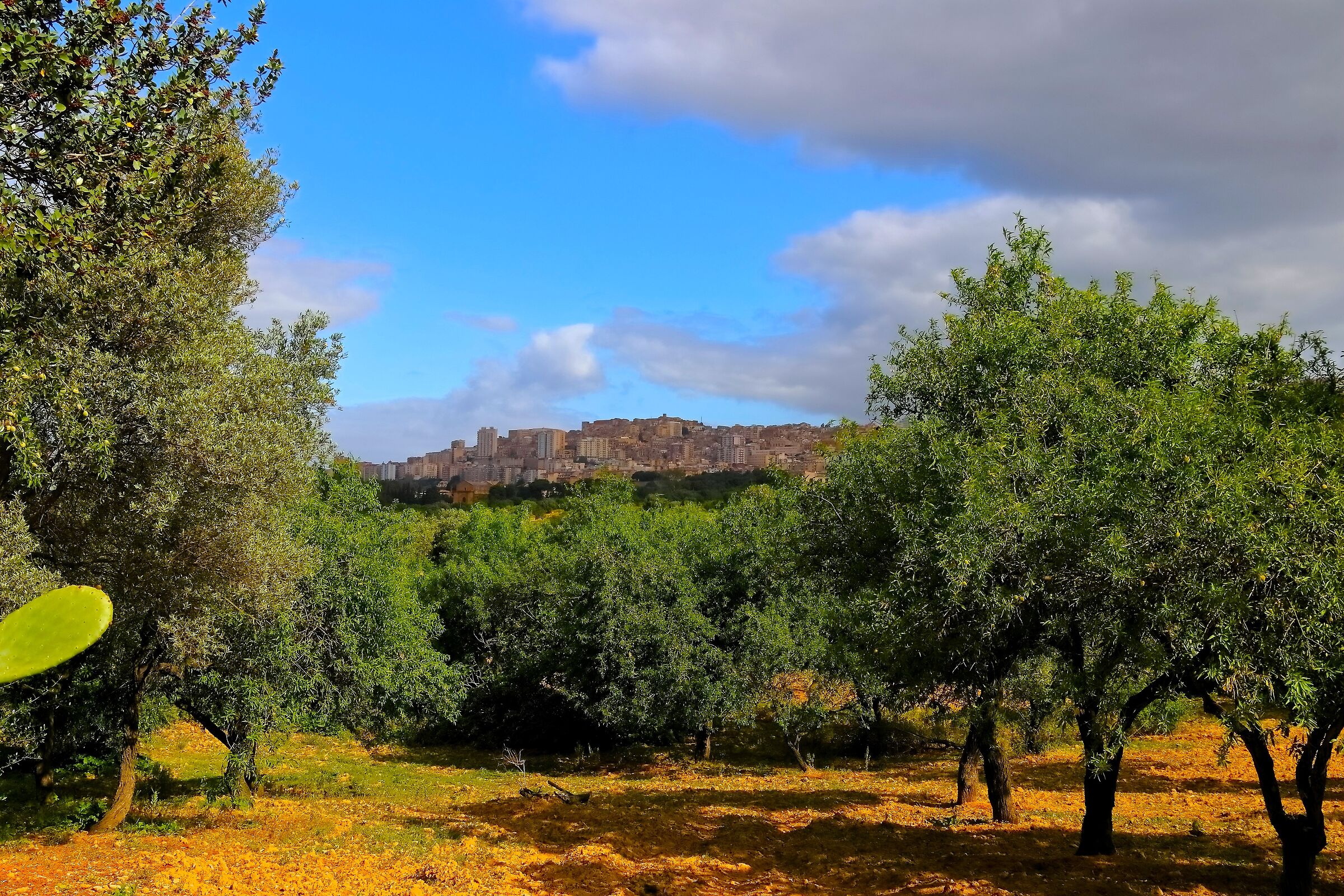 Agrigento 18 April 2024 - 0524