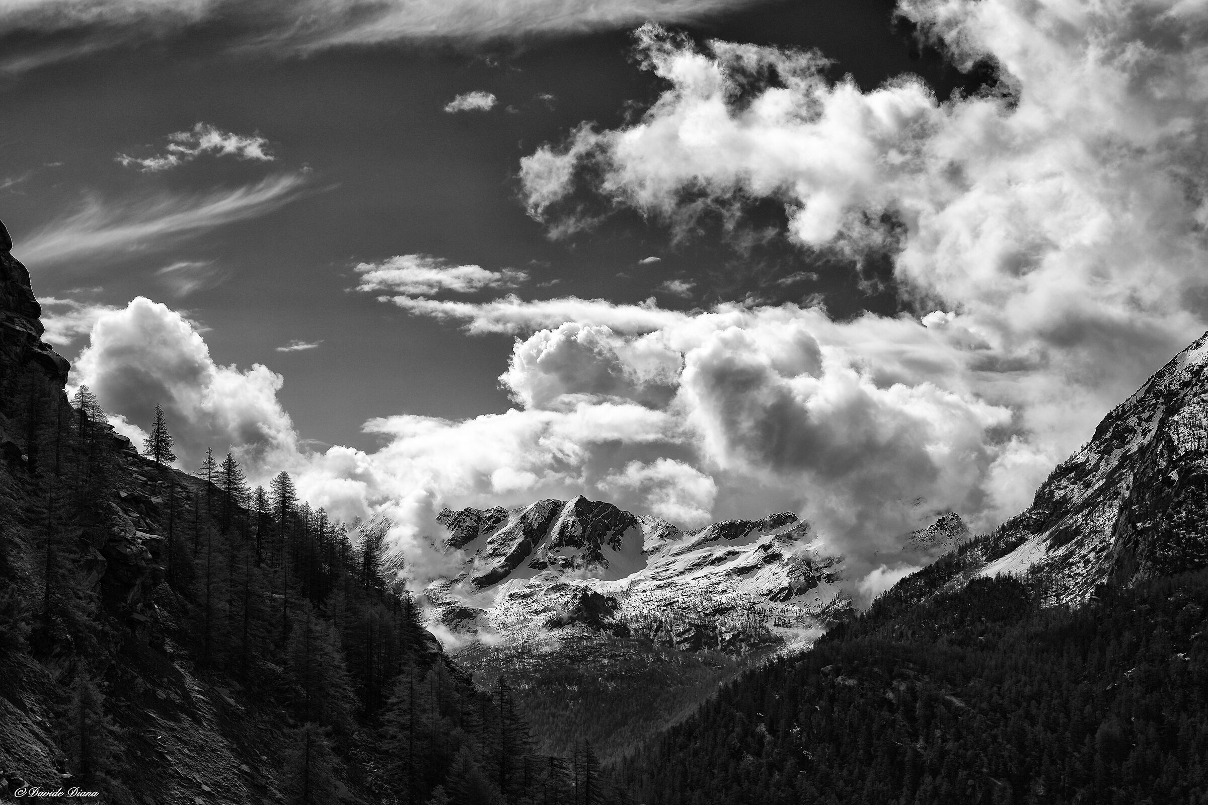 Gran Paradiso National Park - Piedmont