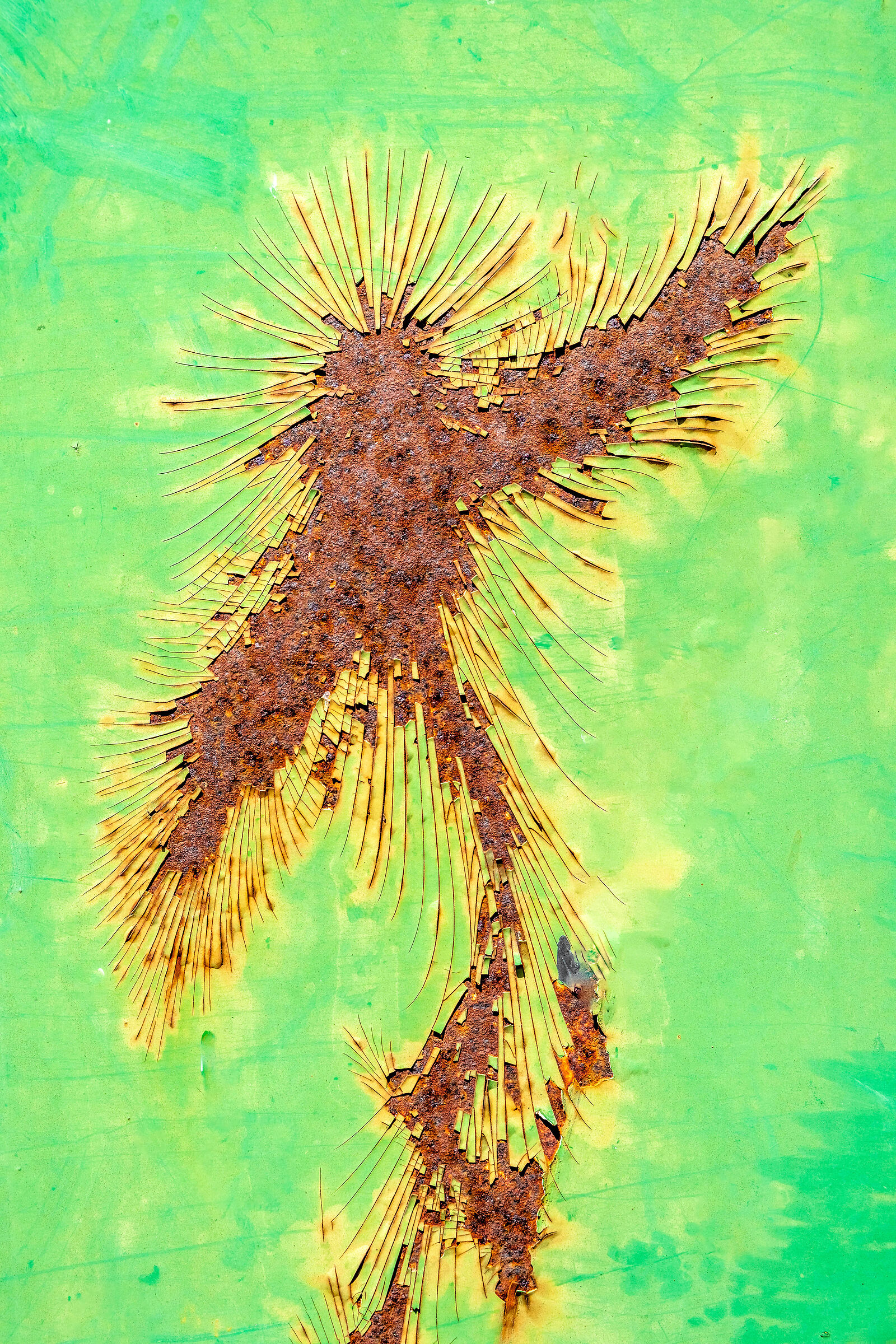Angel Oxide