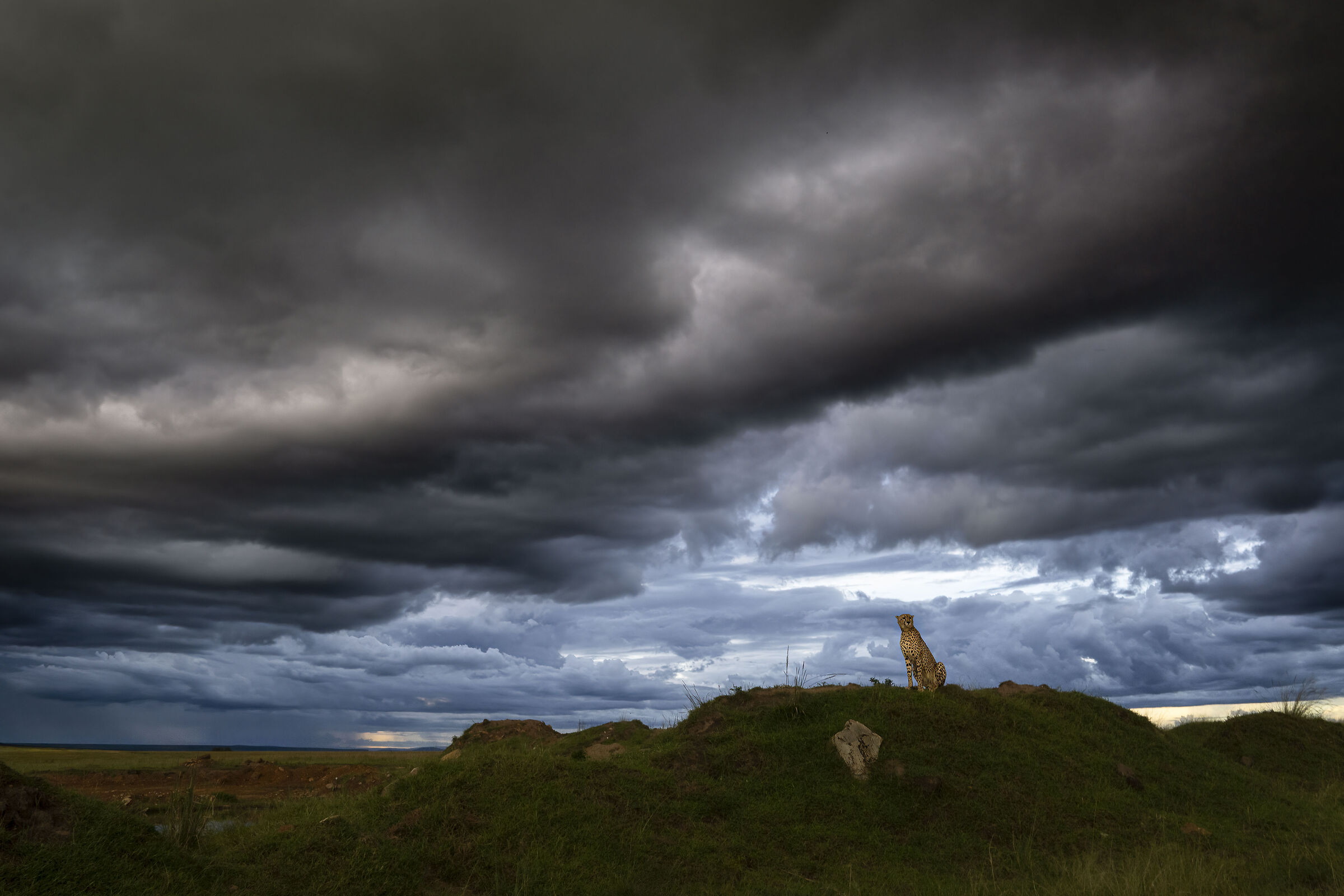 Aspettando la tempesta