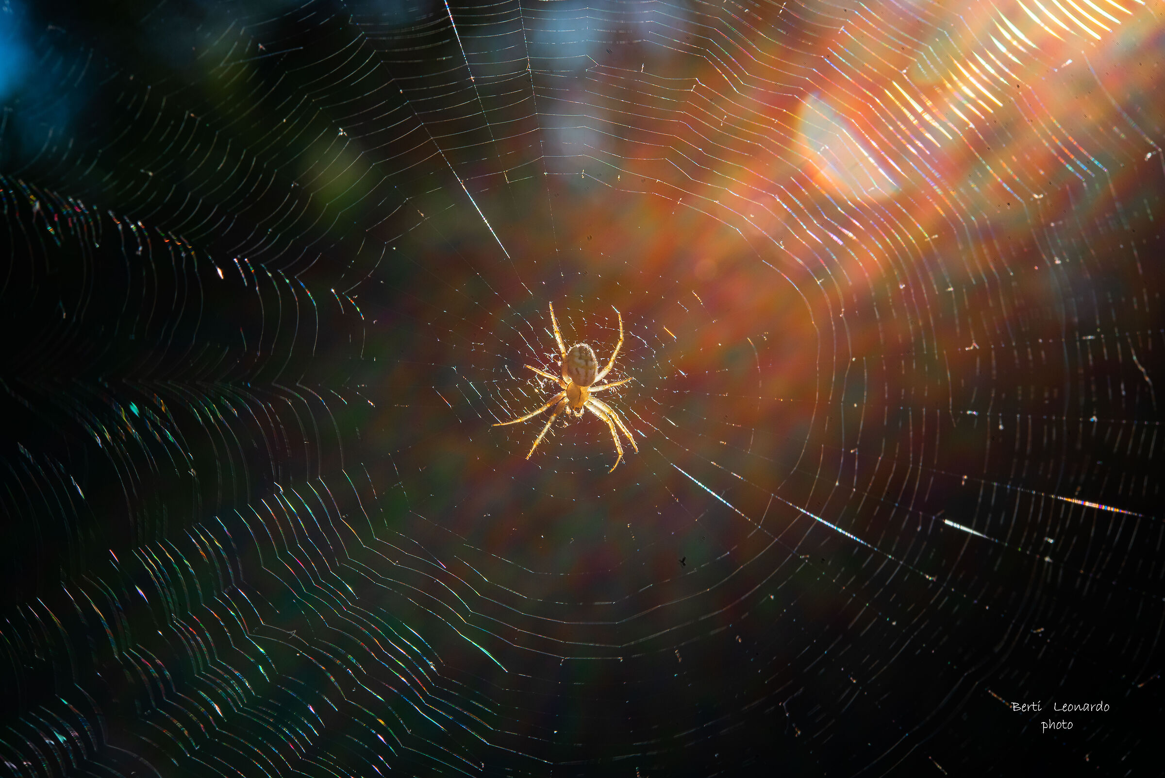 The sun kisses the beautiful