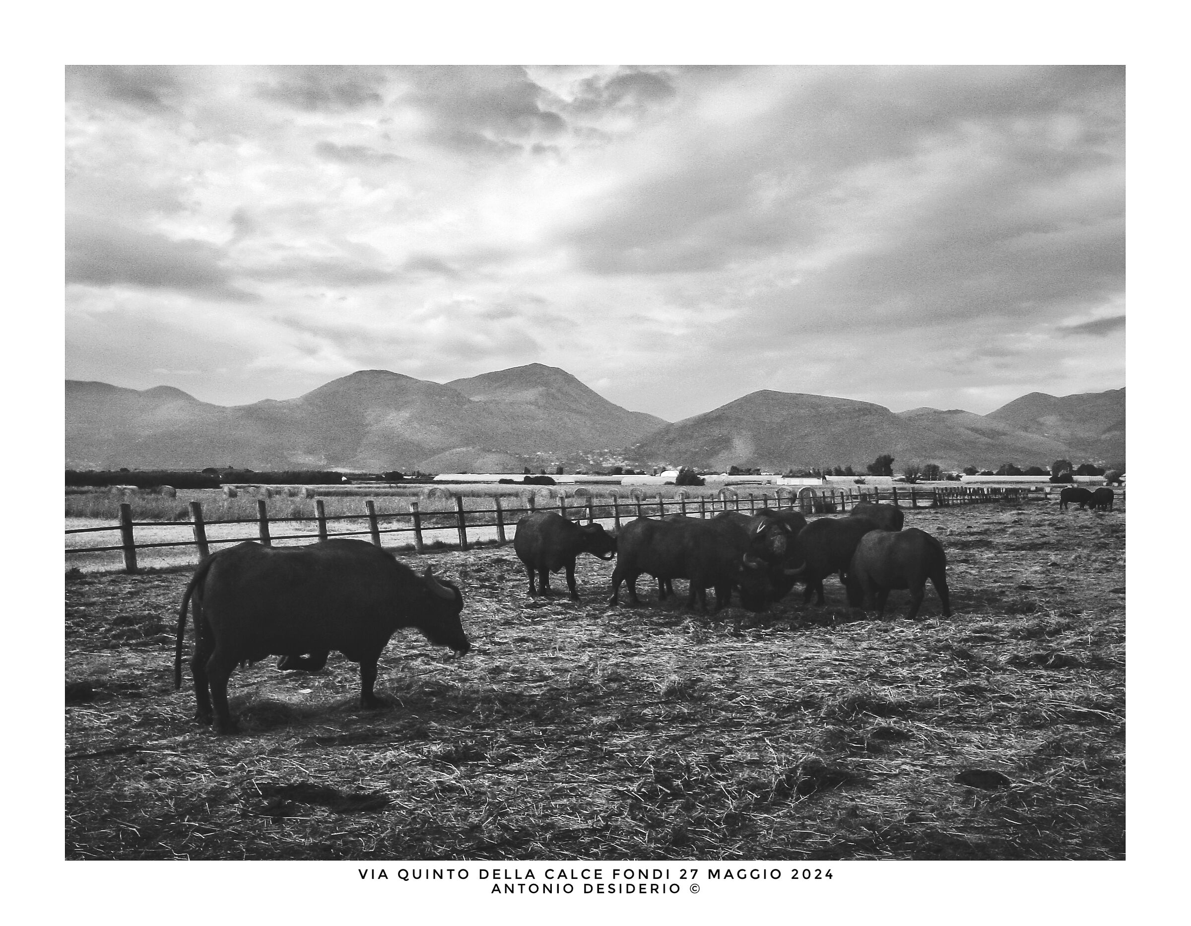 Un pomeriggio con le bufale....