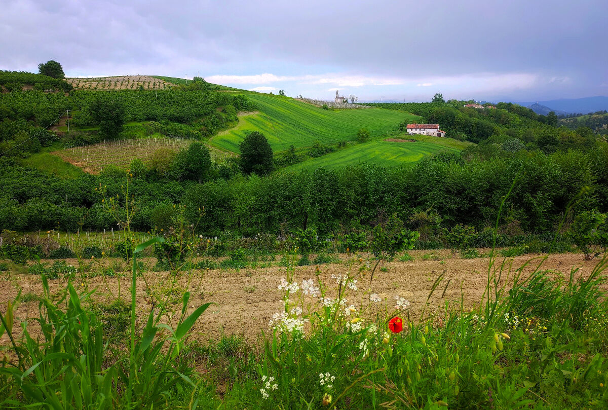 An afternoon in May