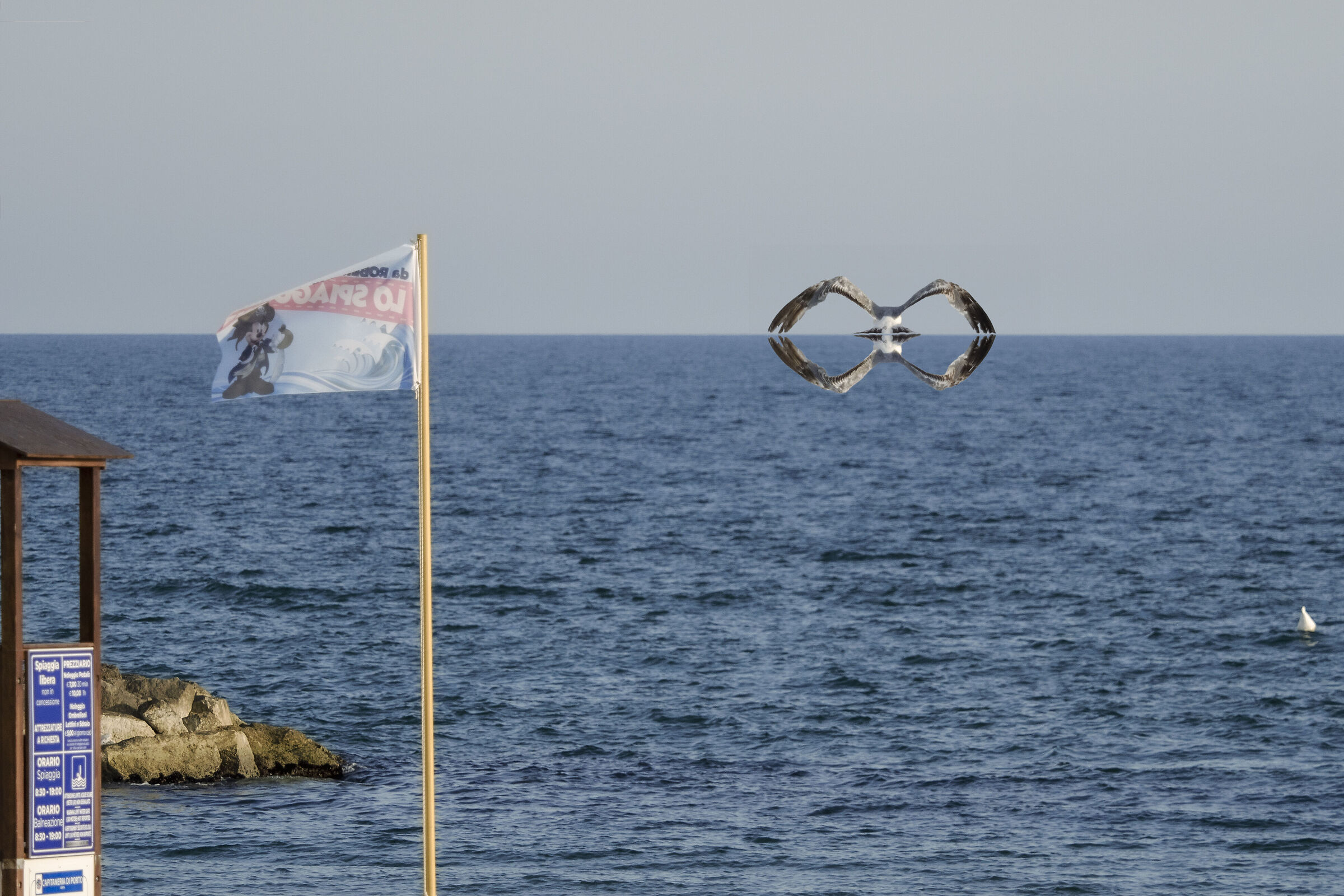 Gabbiani in formazione che tende all'infinito...